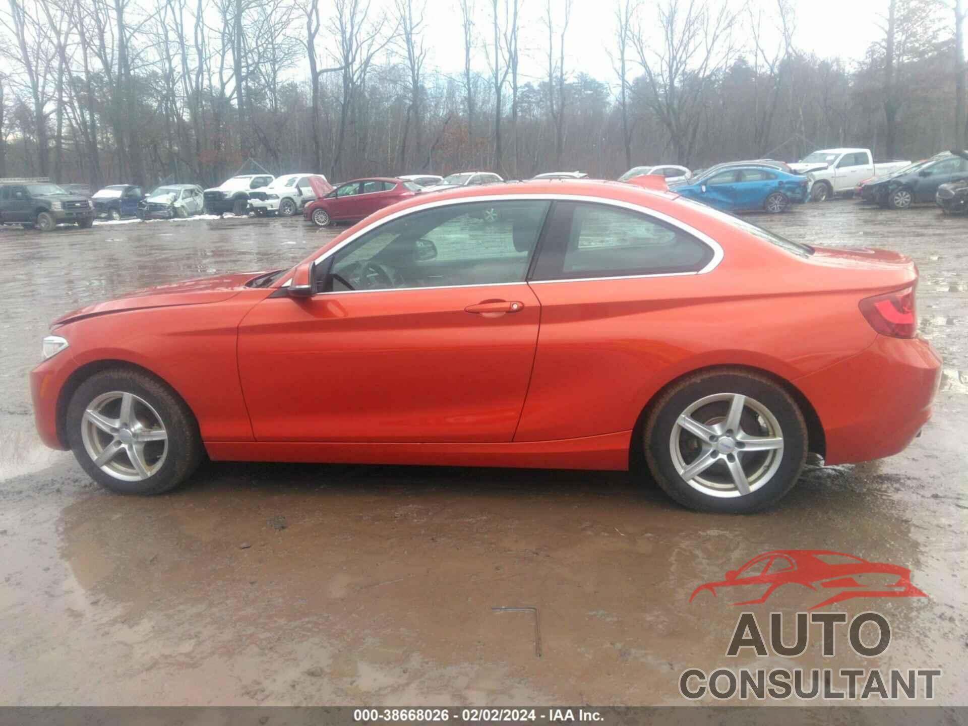 BMW 228I 2016 - WBA1G9C55GV727110