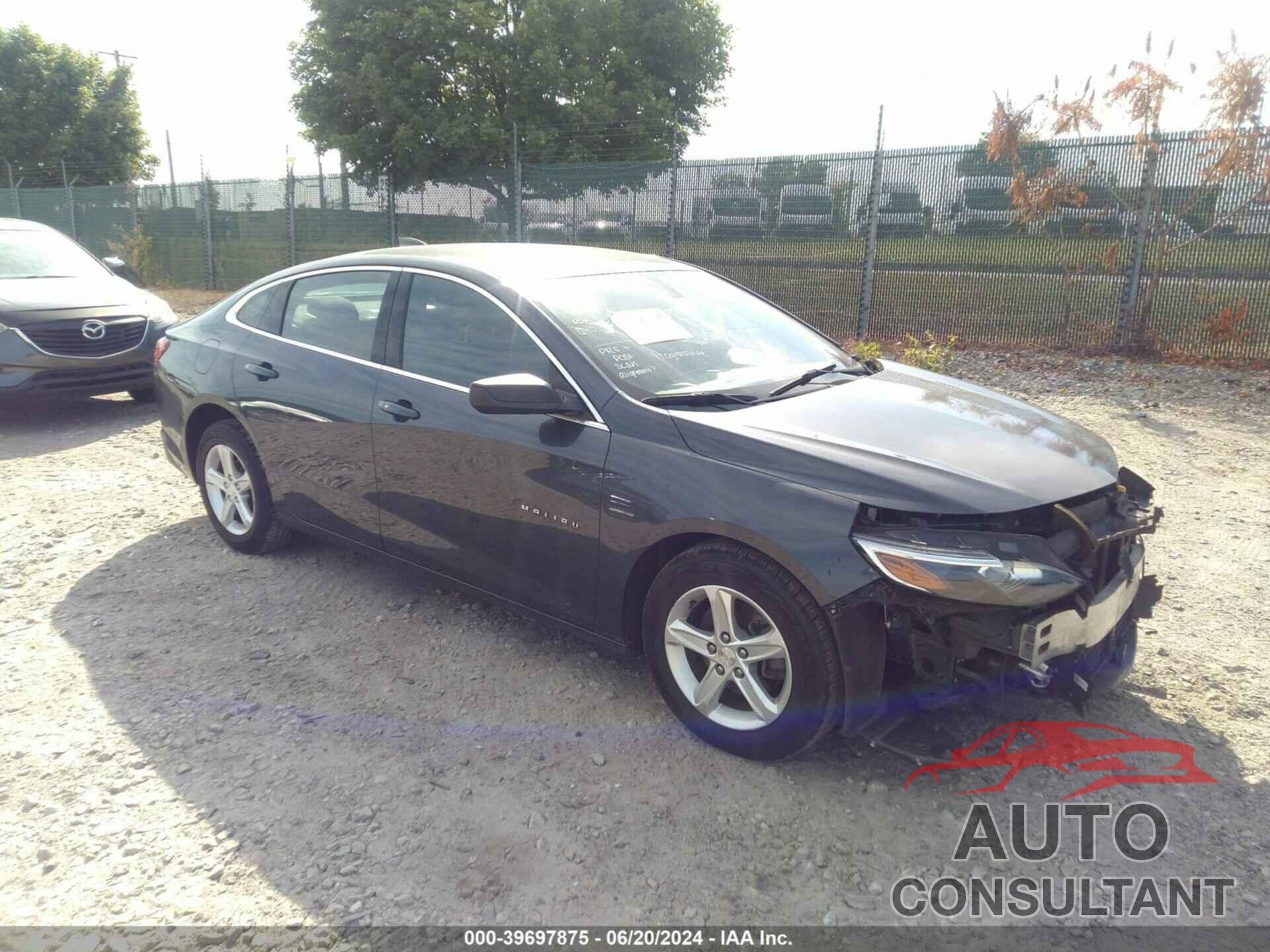 CHEVROLET MALIBU 2019 - 1G1ZB5ST6KF197707