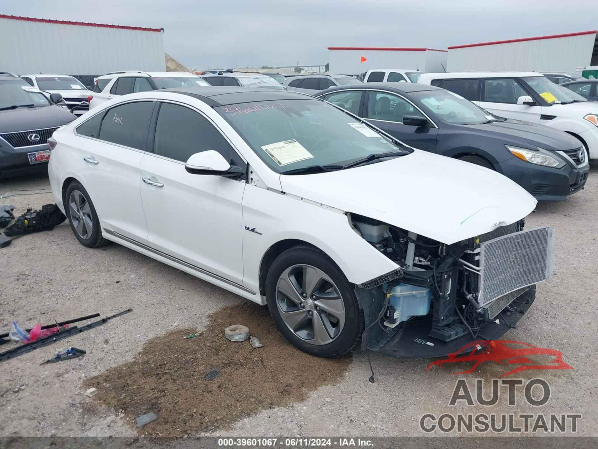 HYUNDAI SONATA HYBRID 2016 - KMHE34L13GA031297