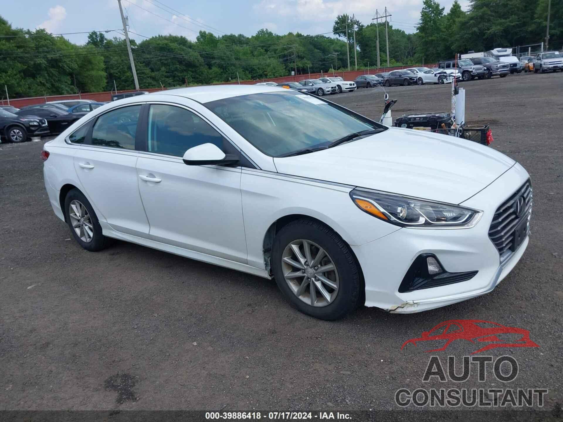 HYUNDAI SONATA 2019 - 5NPE24AF2KH737183