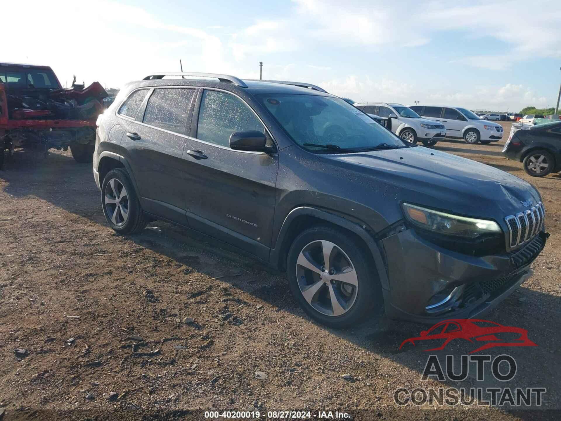 JEEP CHEROKEE 2019 - 1C4PJLDB2KD427801