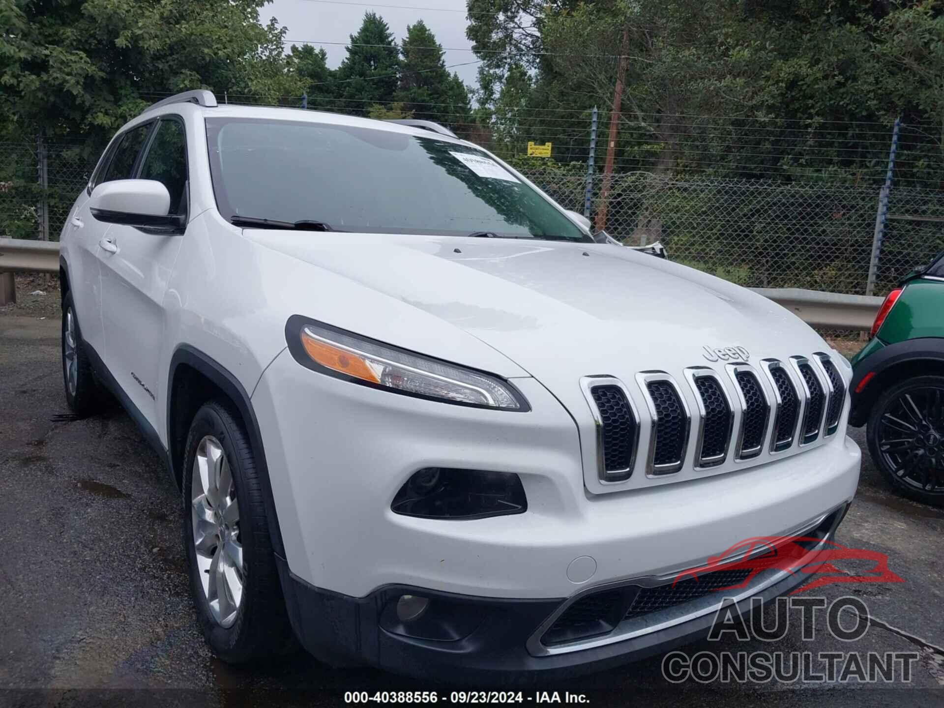 JEEP CHEROKEE 2016 - 1C4PJLDB4GW324181