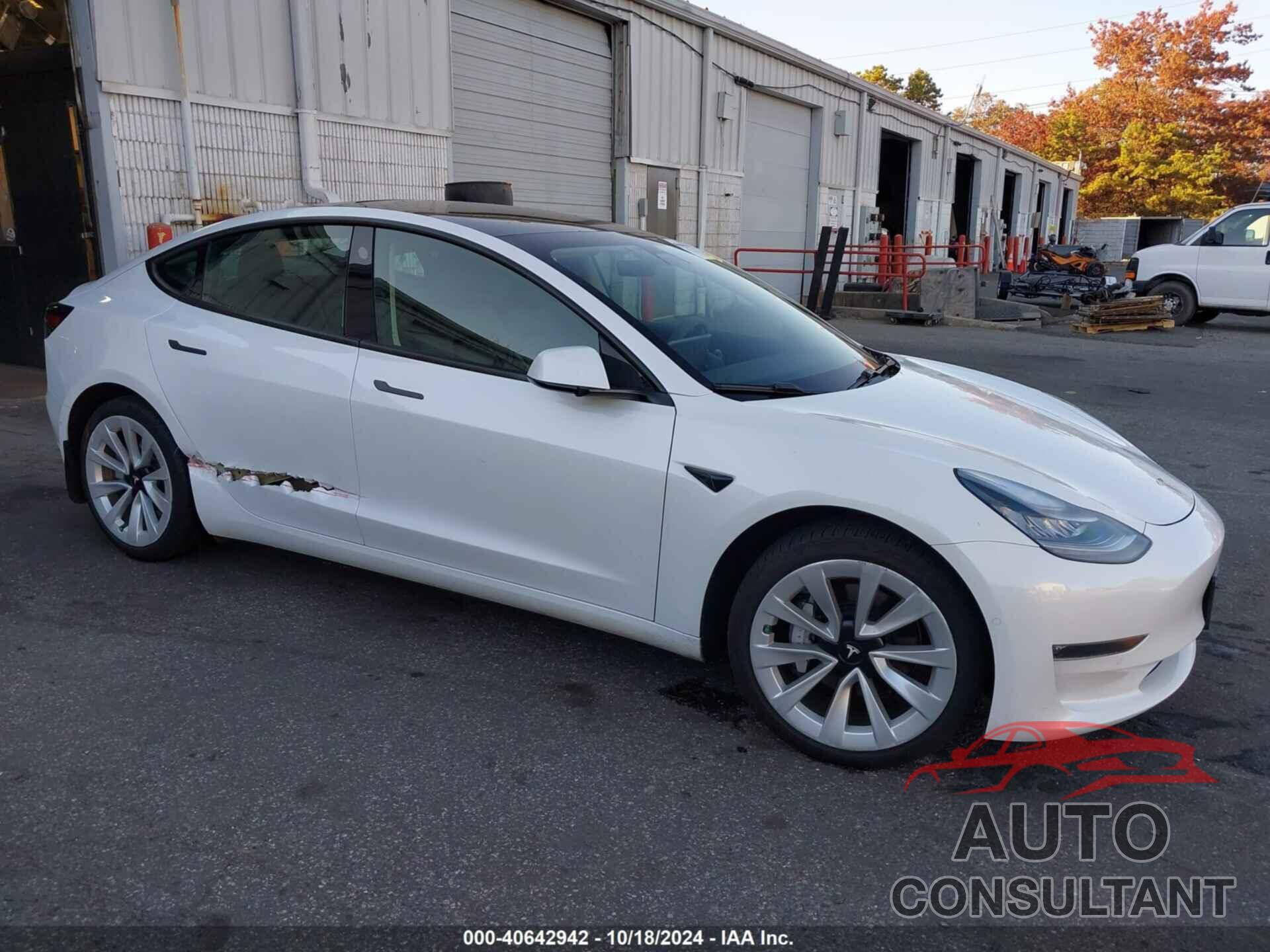 TESLA MODEL 3 2021 - 5YJ3E1EBXMF855729