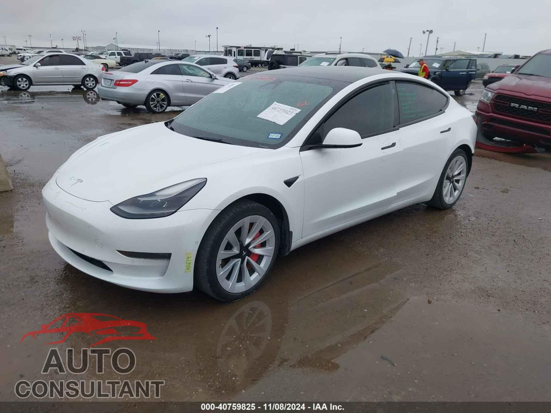 TESLA MODEL 3 2021 - 5YJ3E1EA7MF096643