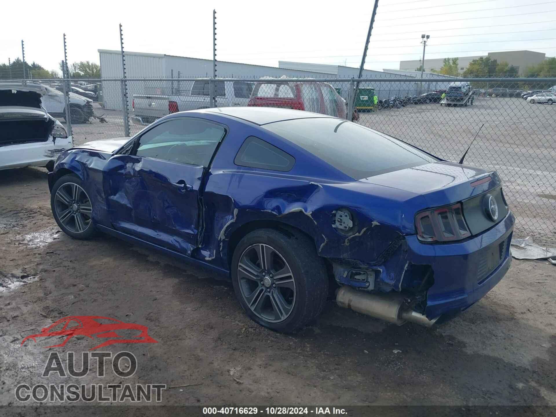 FORD MUSTANG 2014 - 1ZVBP8AM5E5203087