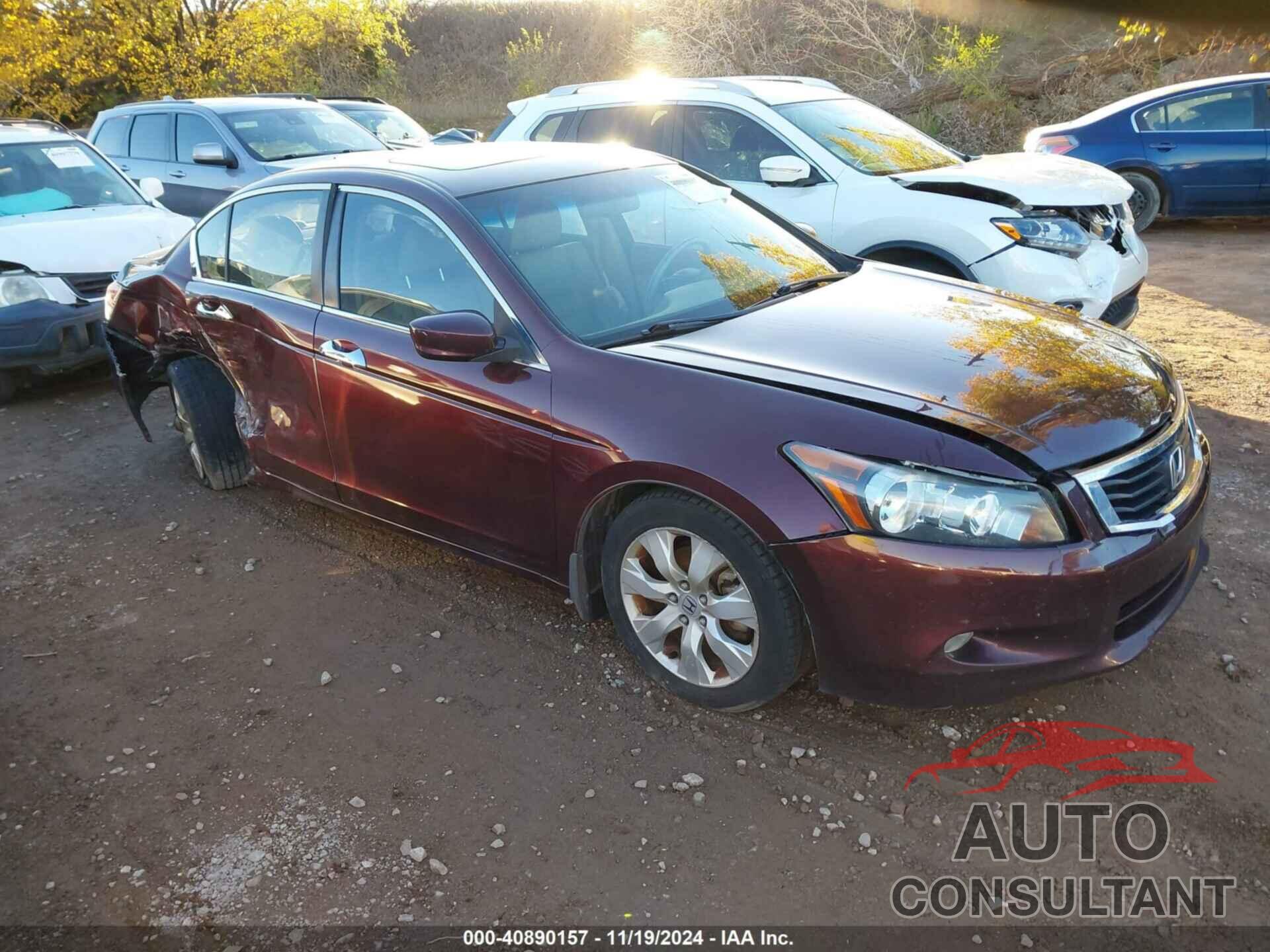HONDA ACCORD 2010 - 5KBCP3F81AB015957