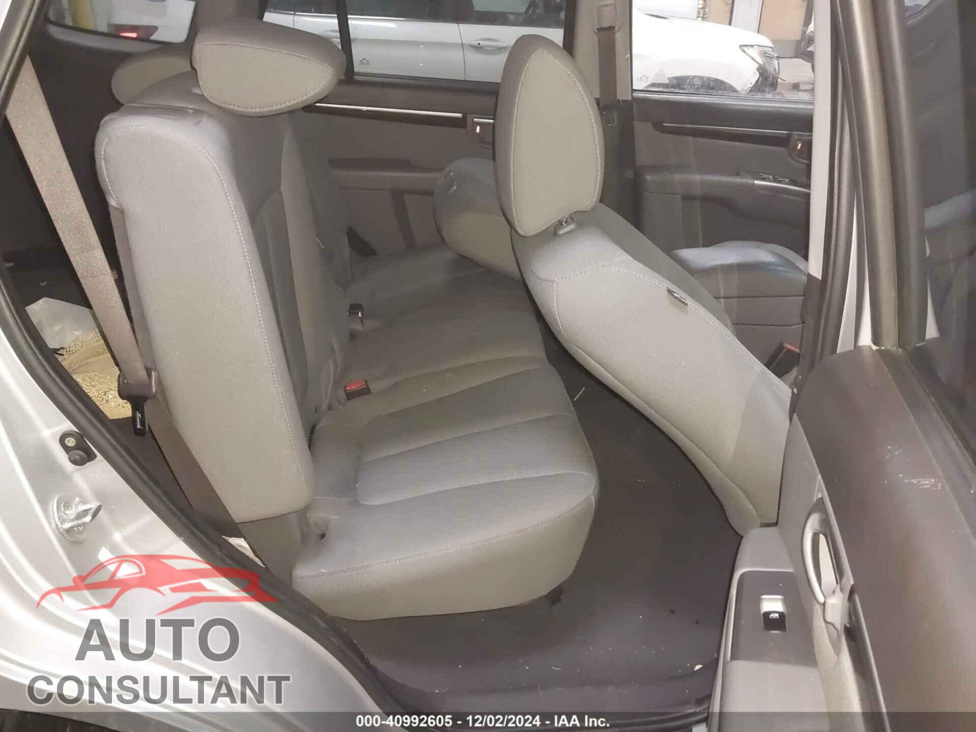 HYUNDAI SANTA FE 2010 - 5NMSGDAB3AH366709