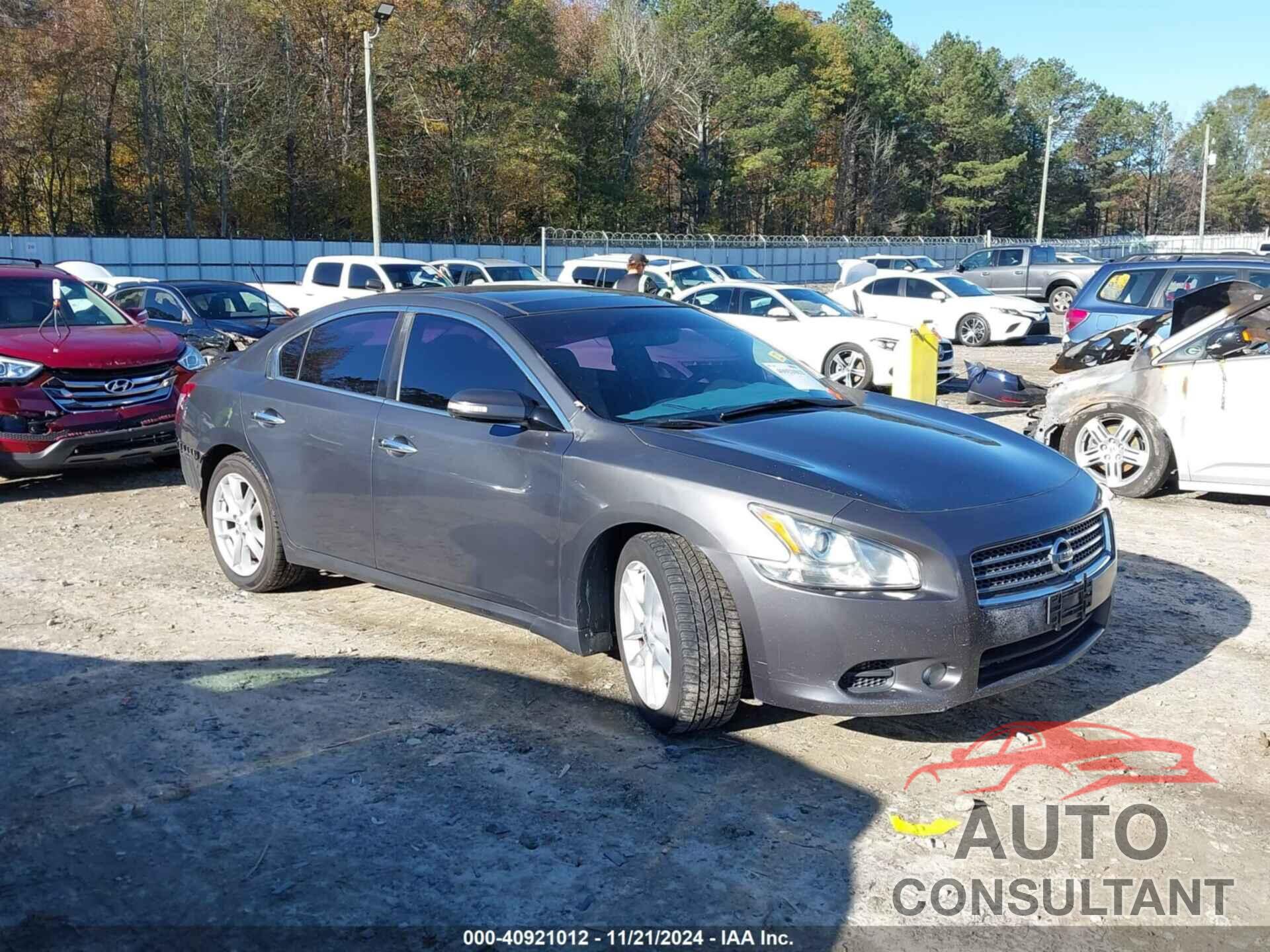 NISSAN MAXIMA 2009 - 1N4AA51E19C851864