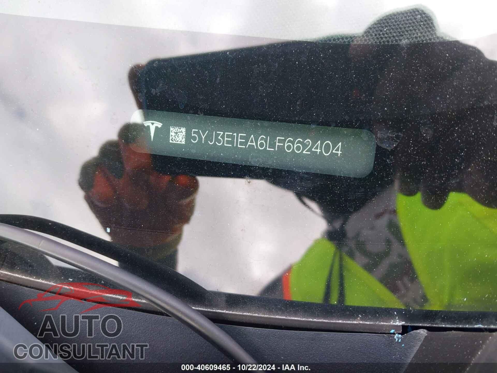 TESLA MODEL 3 2020 - 5YJ3E1EA6LF662404