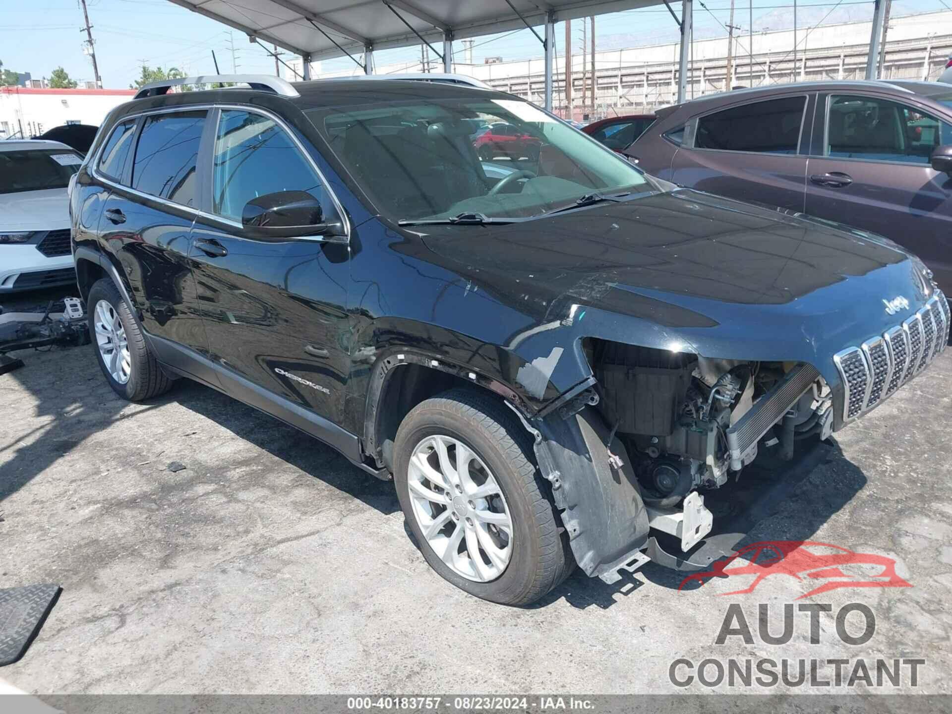 JEEP CHEROKEE 2019 - 1C4PJLCB2KD406058