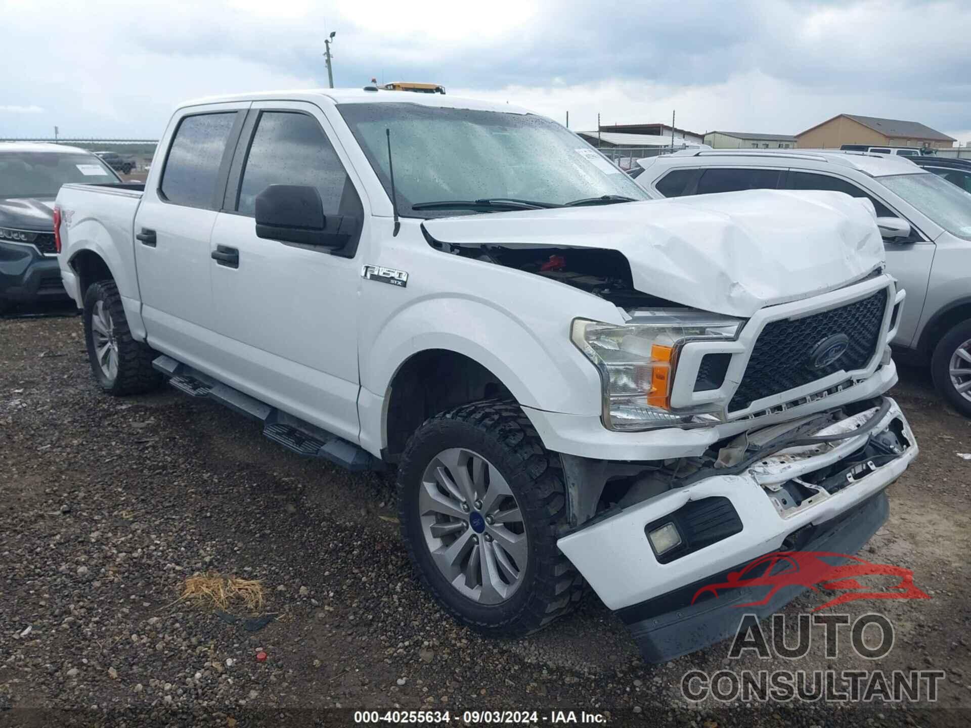 FORD F-150 2018 - 1FTEW1EP6JKC08325