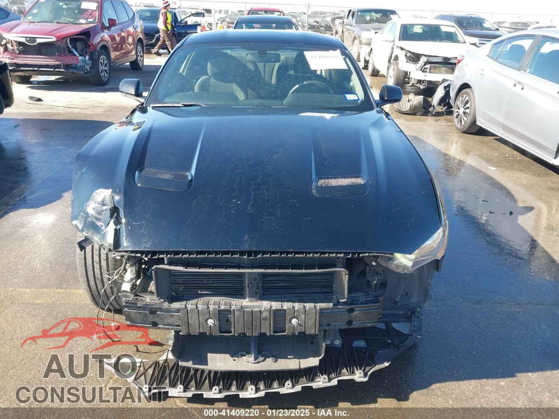 FORD MUSTANG 2019 - 1FA6P8TH1K5201410