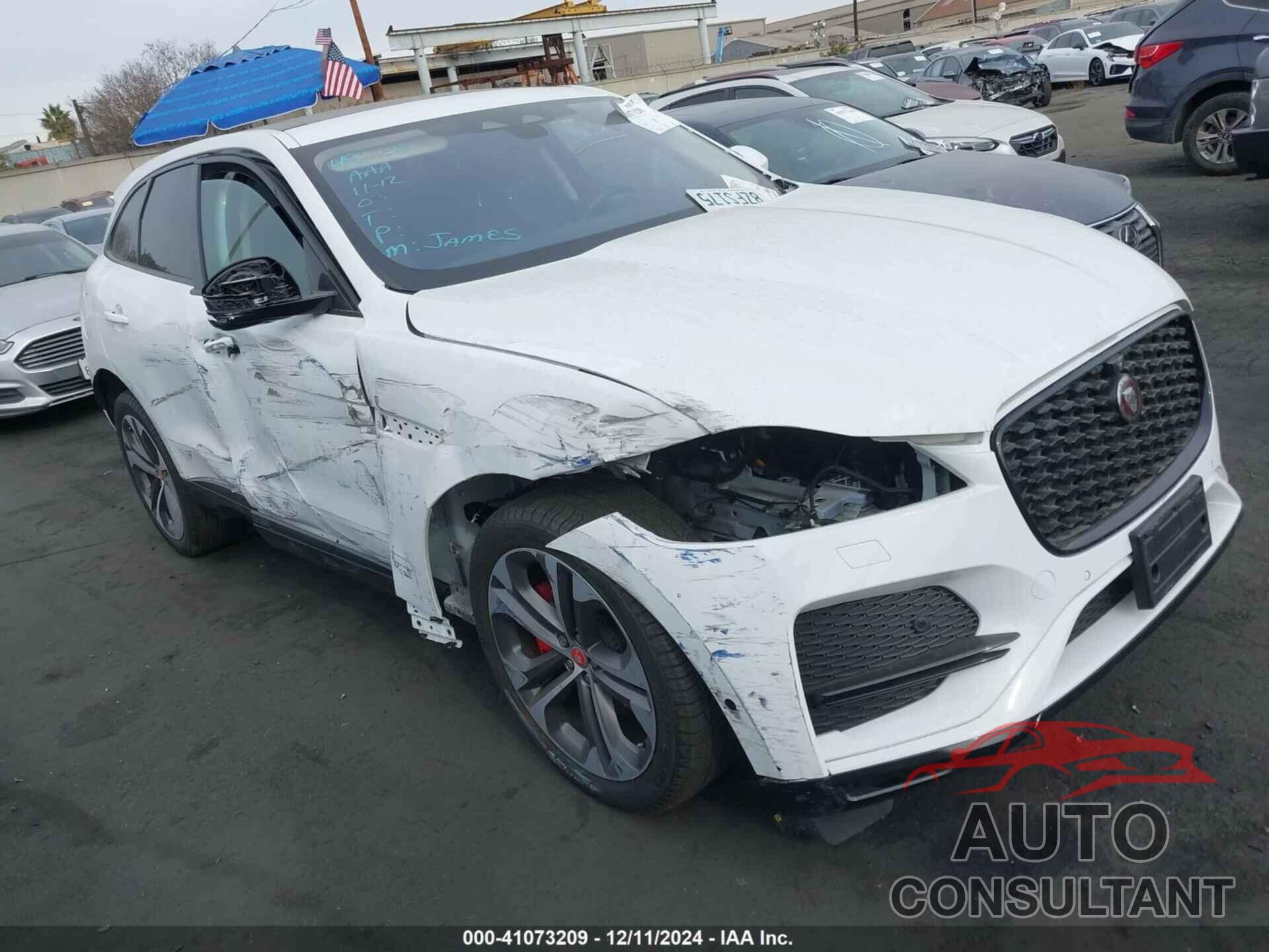 JAGUAR F-PACE 2021 - SADCJ2EX6MA681071