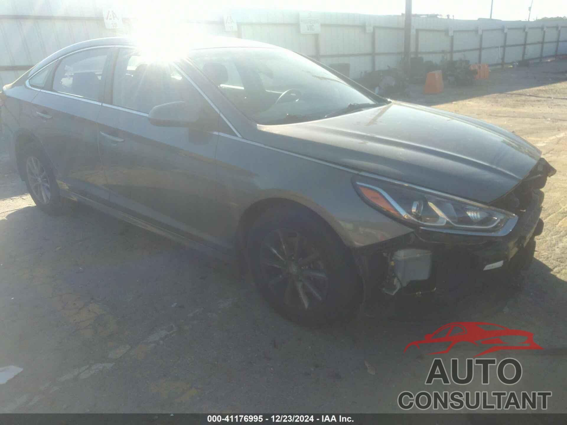 HYUNDAI SONATA 2019 - 5NPE24AF2KH769681