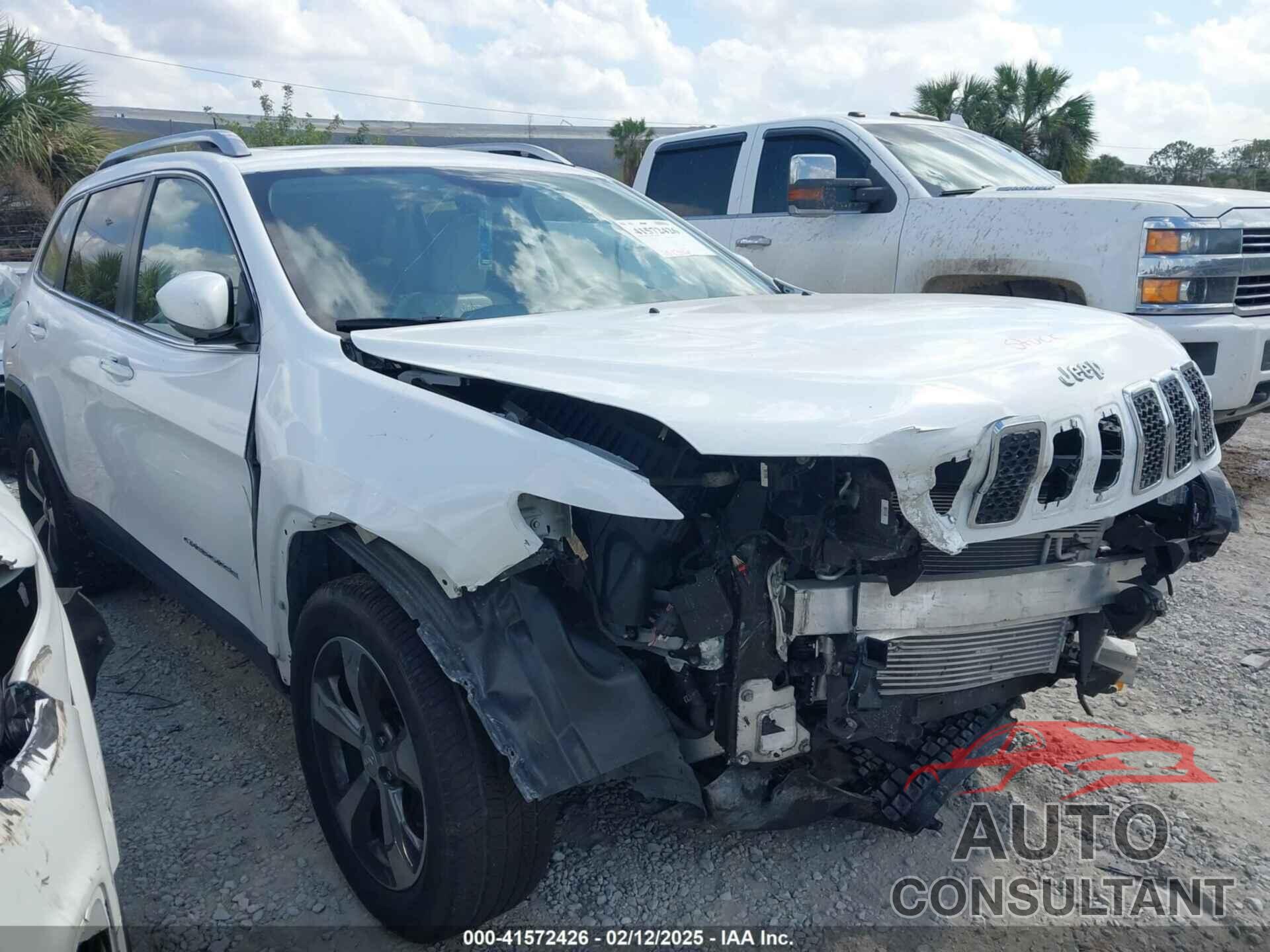 JEEP CHEROKEE 2019 - 1C4PJMDN6KD151073