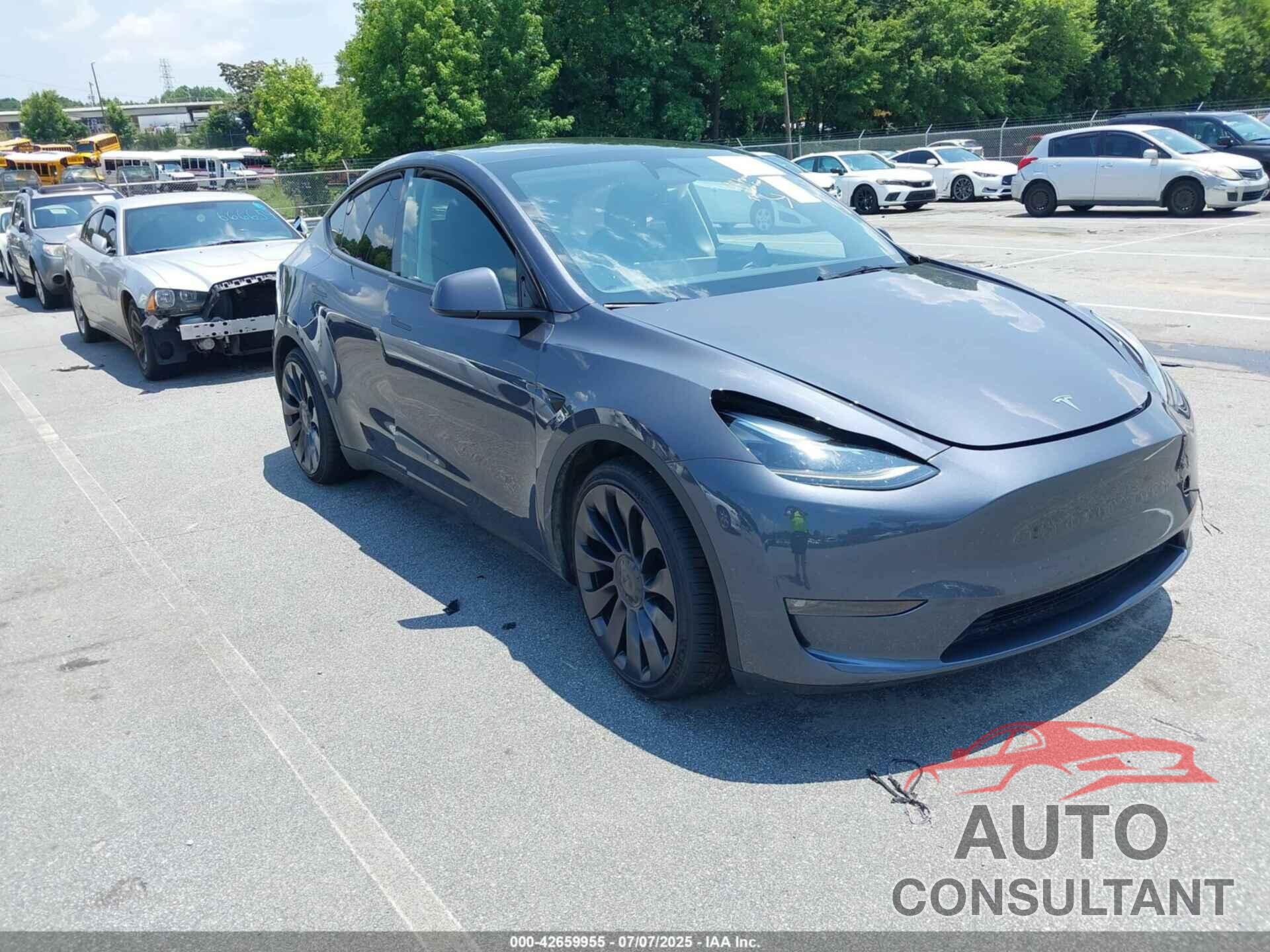TESLA MODEL Y 2023 - 7SAYGDEF2PF969185