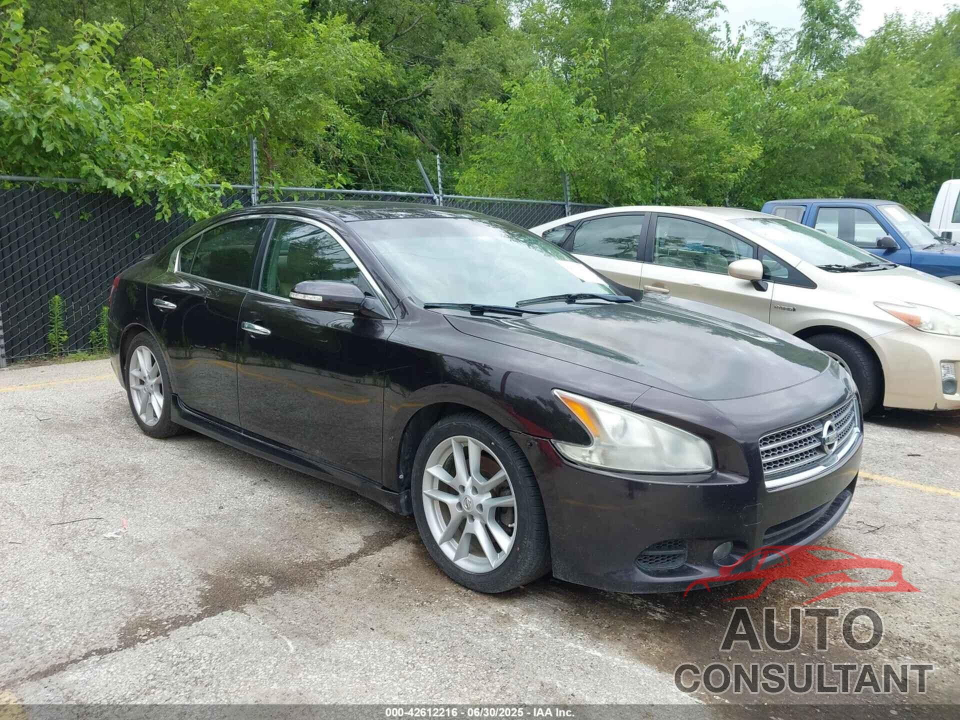NISSAN MAXIMA 2010 - 1N4AA5AP6AC854099