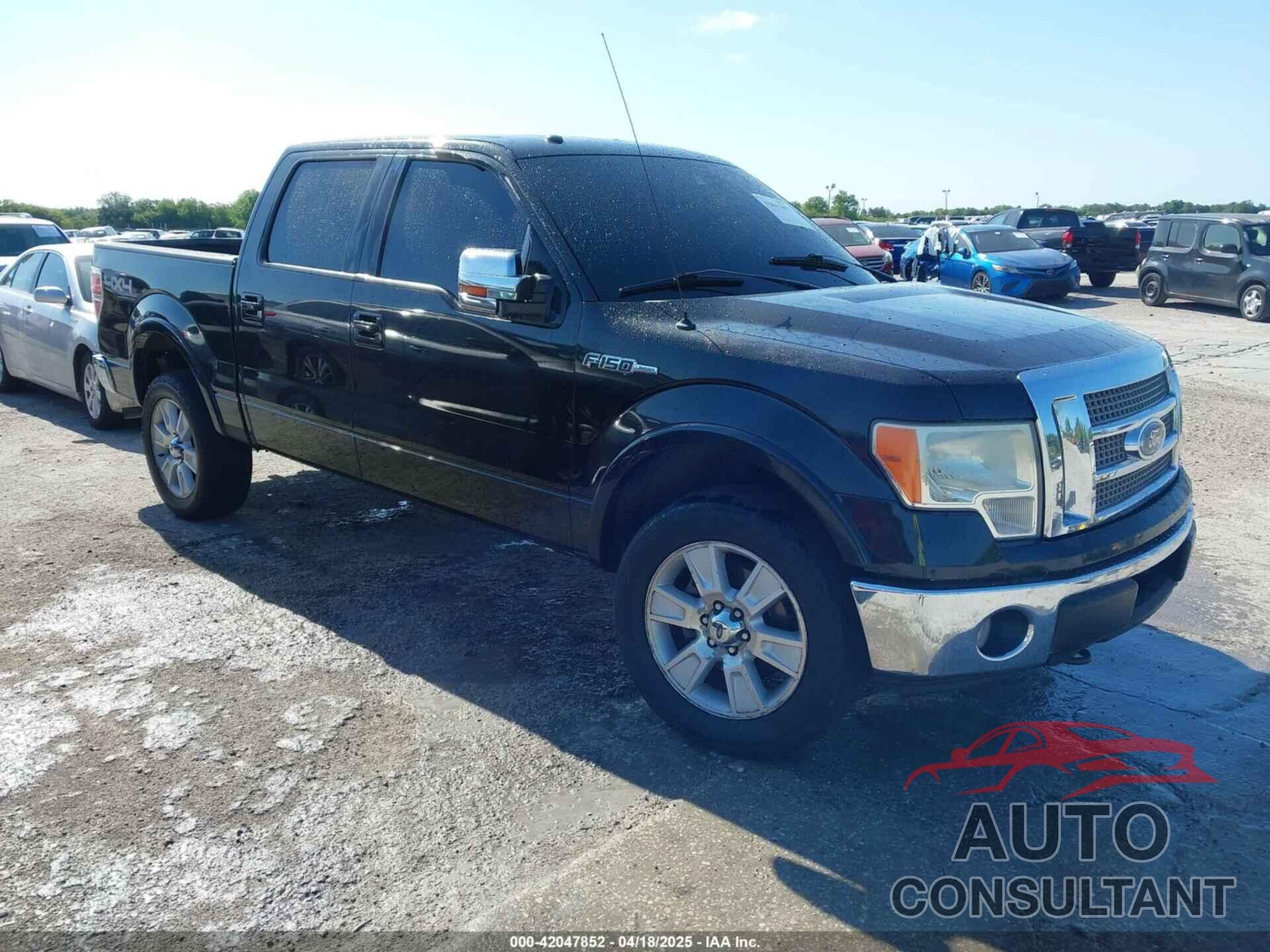 FORD F-150 2010 - 1FTFW1EV1AFA01966