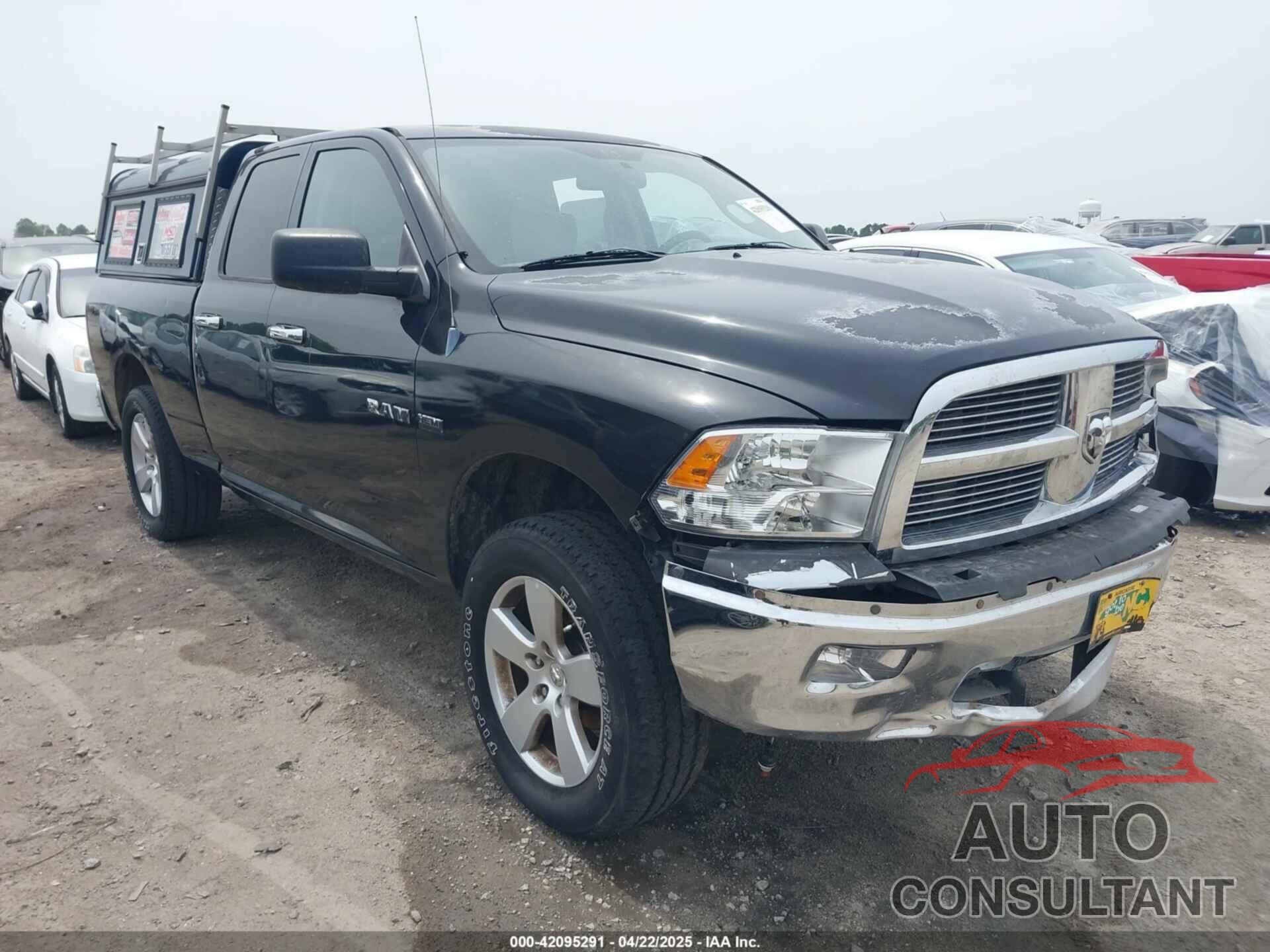 DODGE RAM 1500 2010 - 1D7RV1GT0AS197536