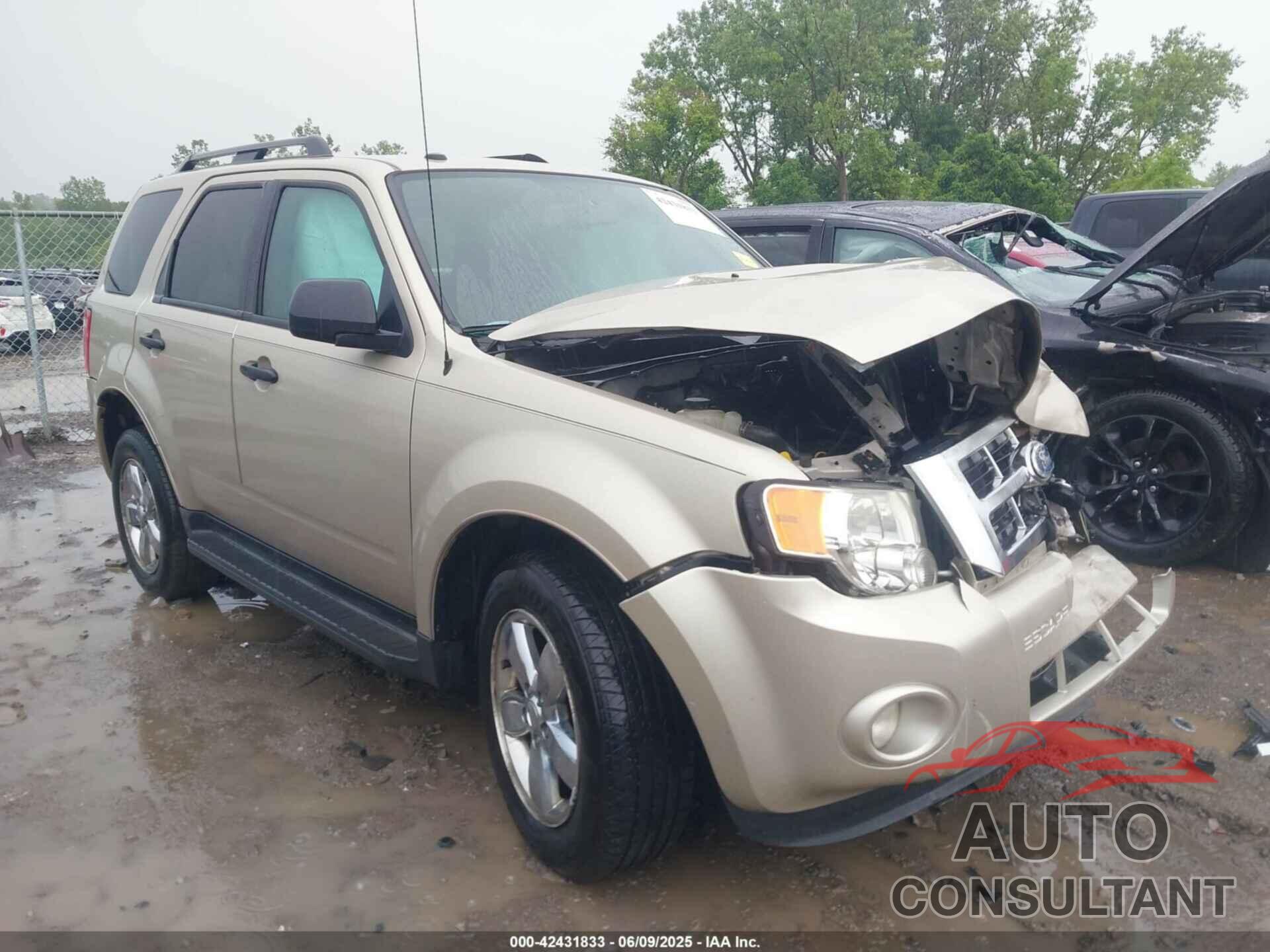 FORD ESCAPE 2011 - 1FMCU0D79BKA66350