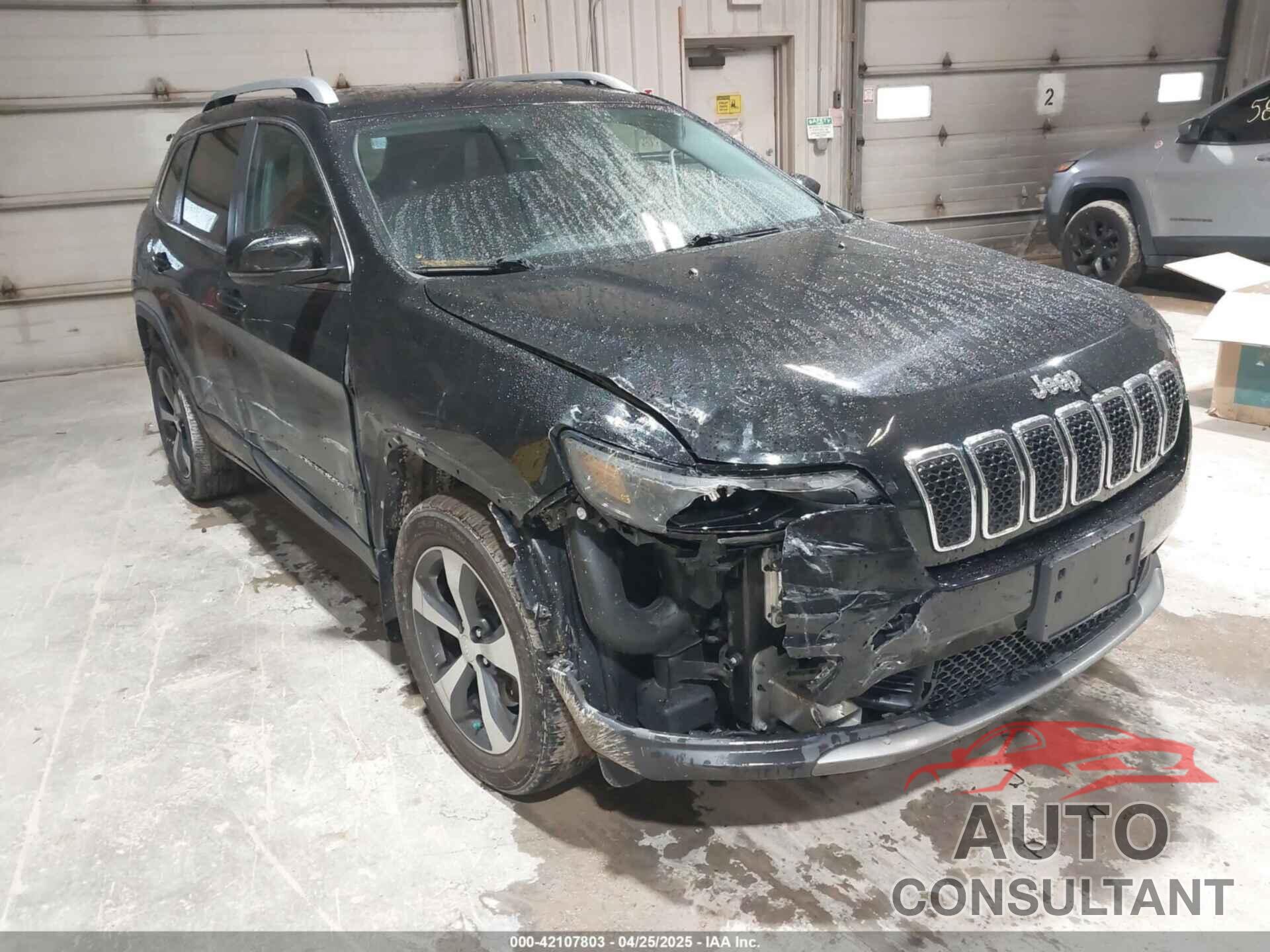 JEEP CHEROKEE 2019 - 1C4PJMDX6KD427429