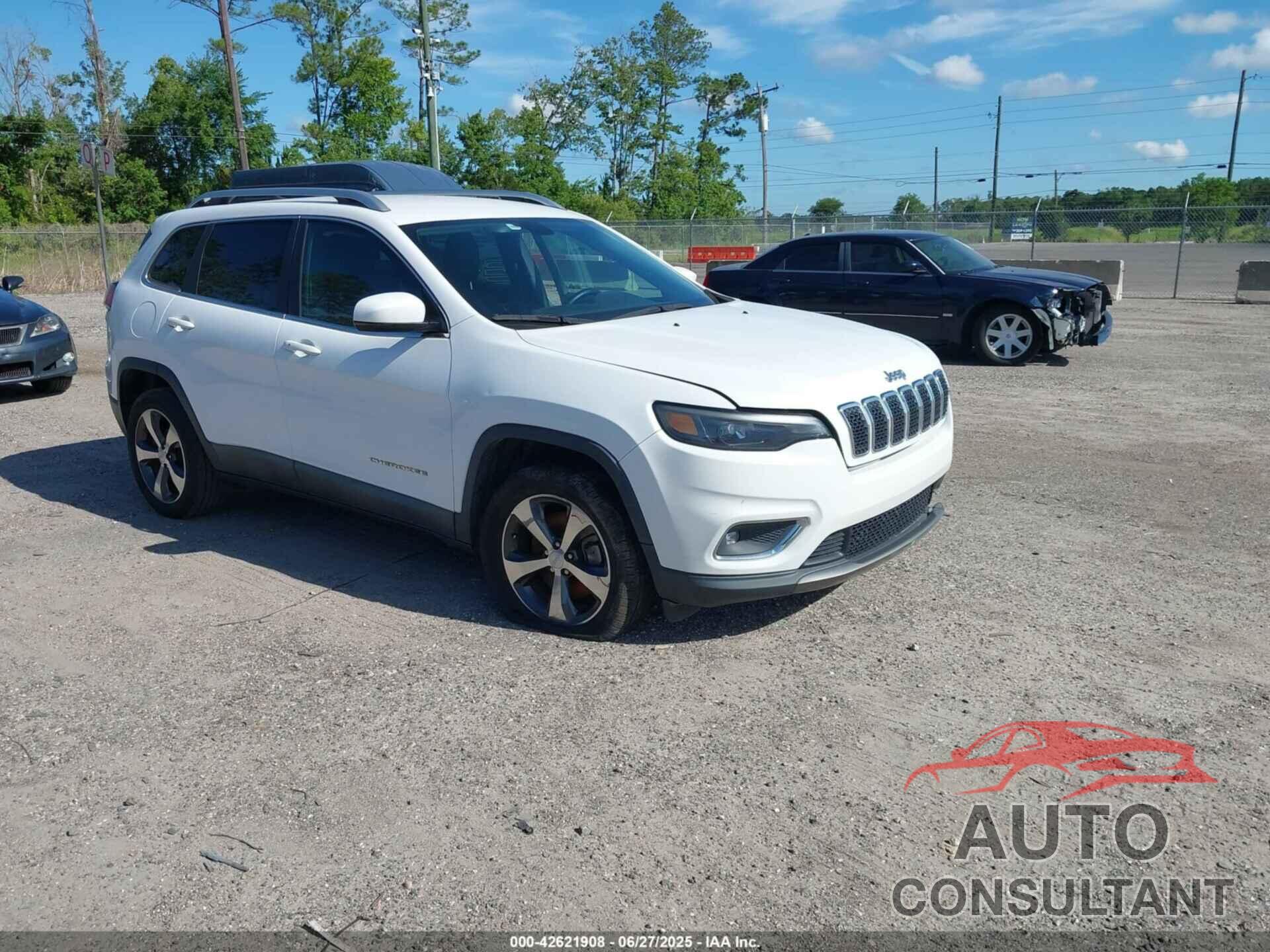JEEP CHEROKEE 2019 - 1C4PJLDB1KD380924
