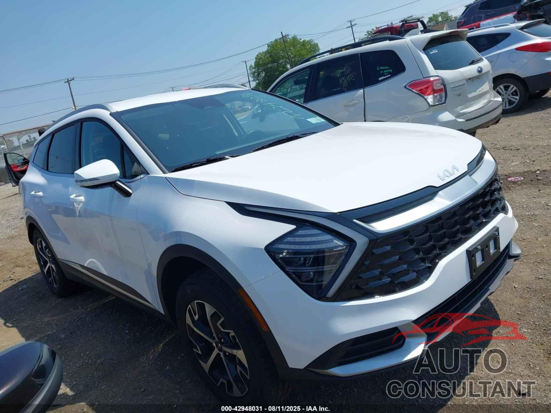 KIA SPORTAGE 2025 - 5XYK3CDF3SG321298