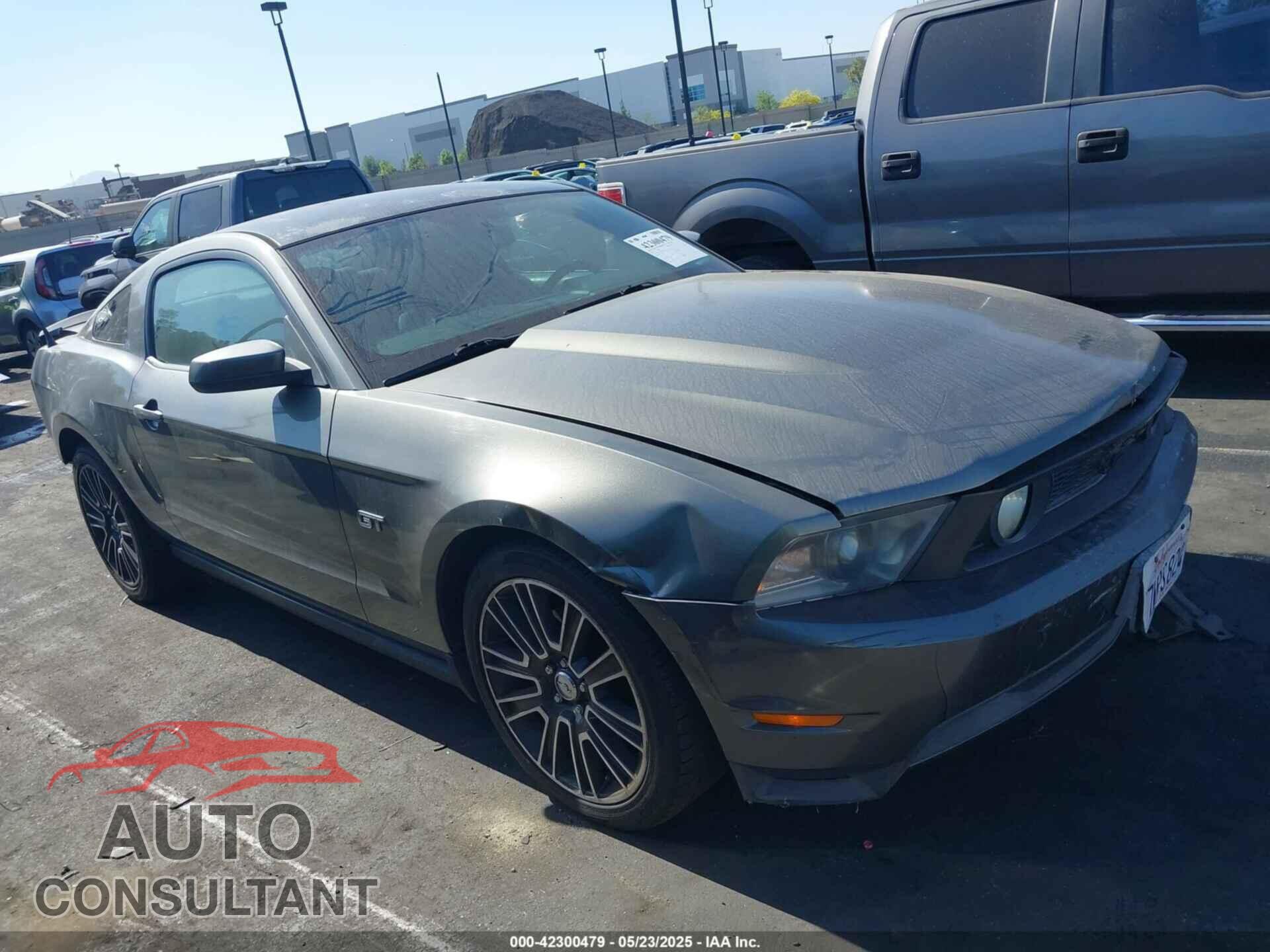 FORD MUSTANG 2010 - 1ZVBP8CH8A5155952
