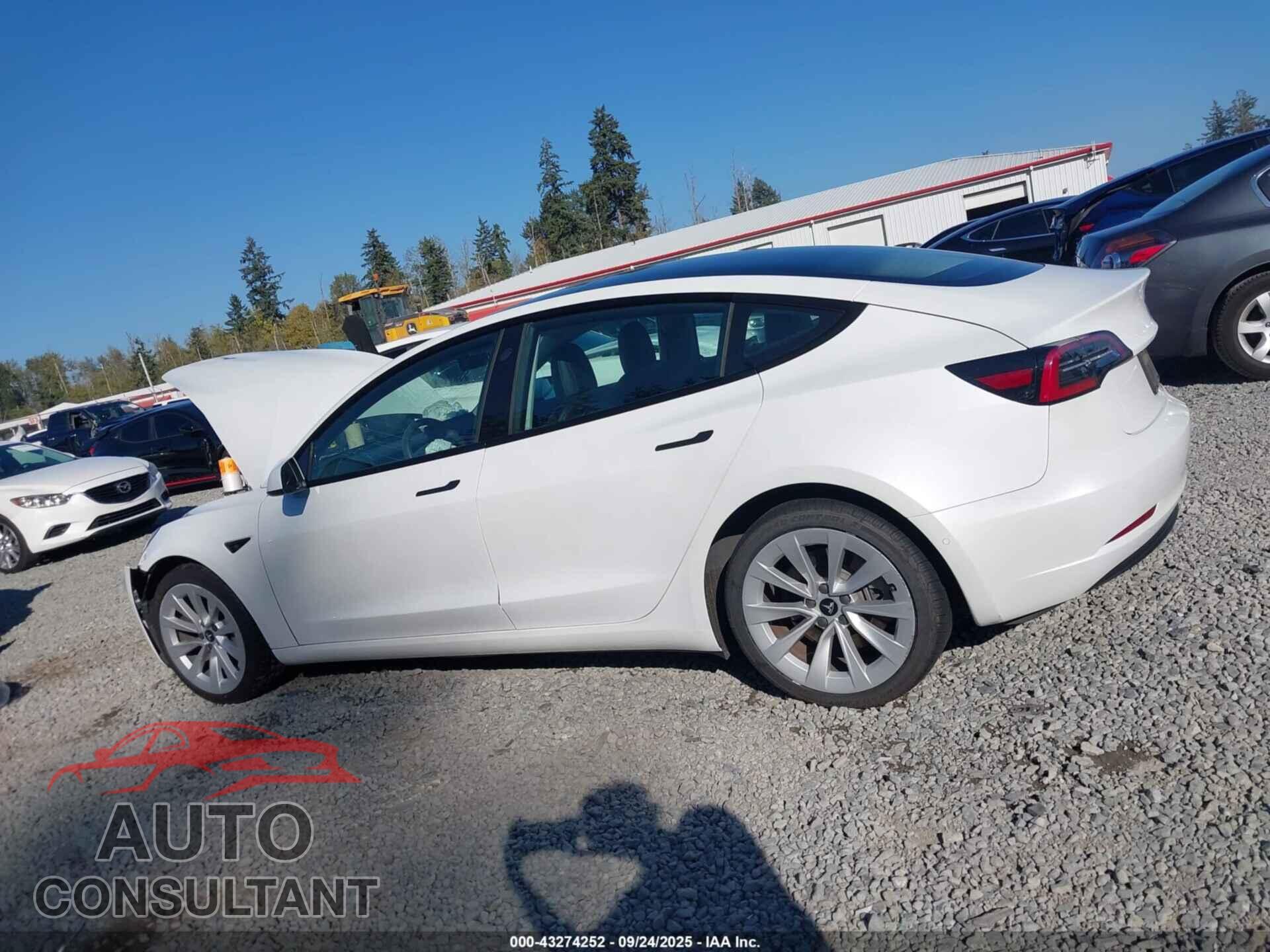 TESLA MODEL 3 2021 - 5YJ3E1EA2MF918331