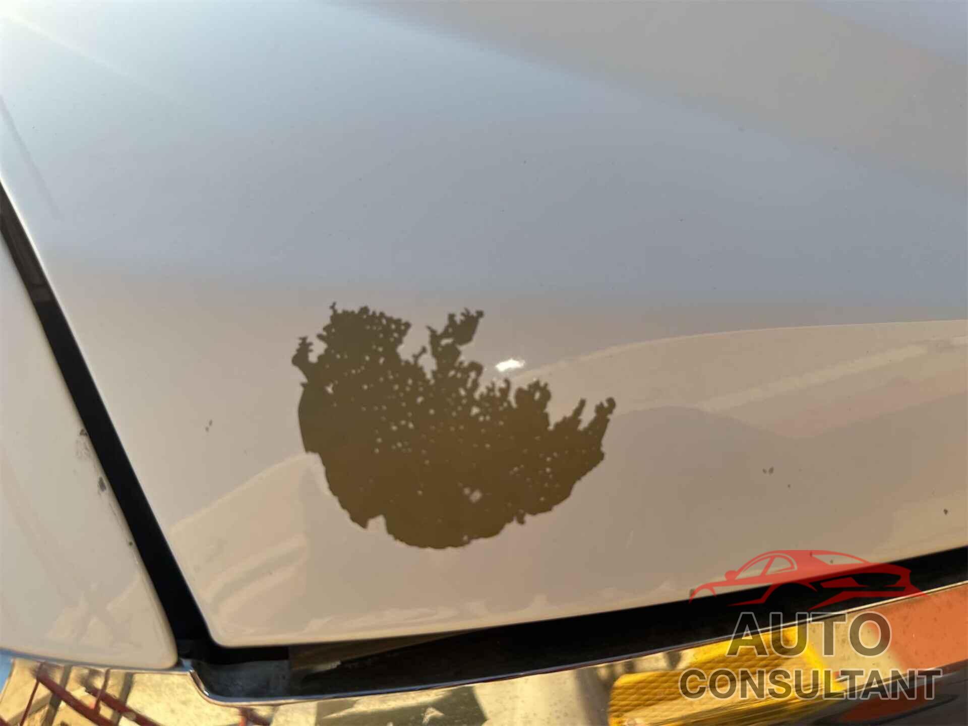 CHEVROLET SILVERADO 2018 - 1GCUKNEC1JF220726