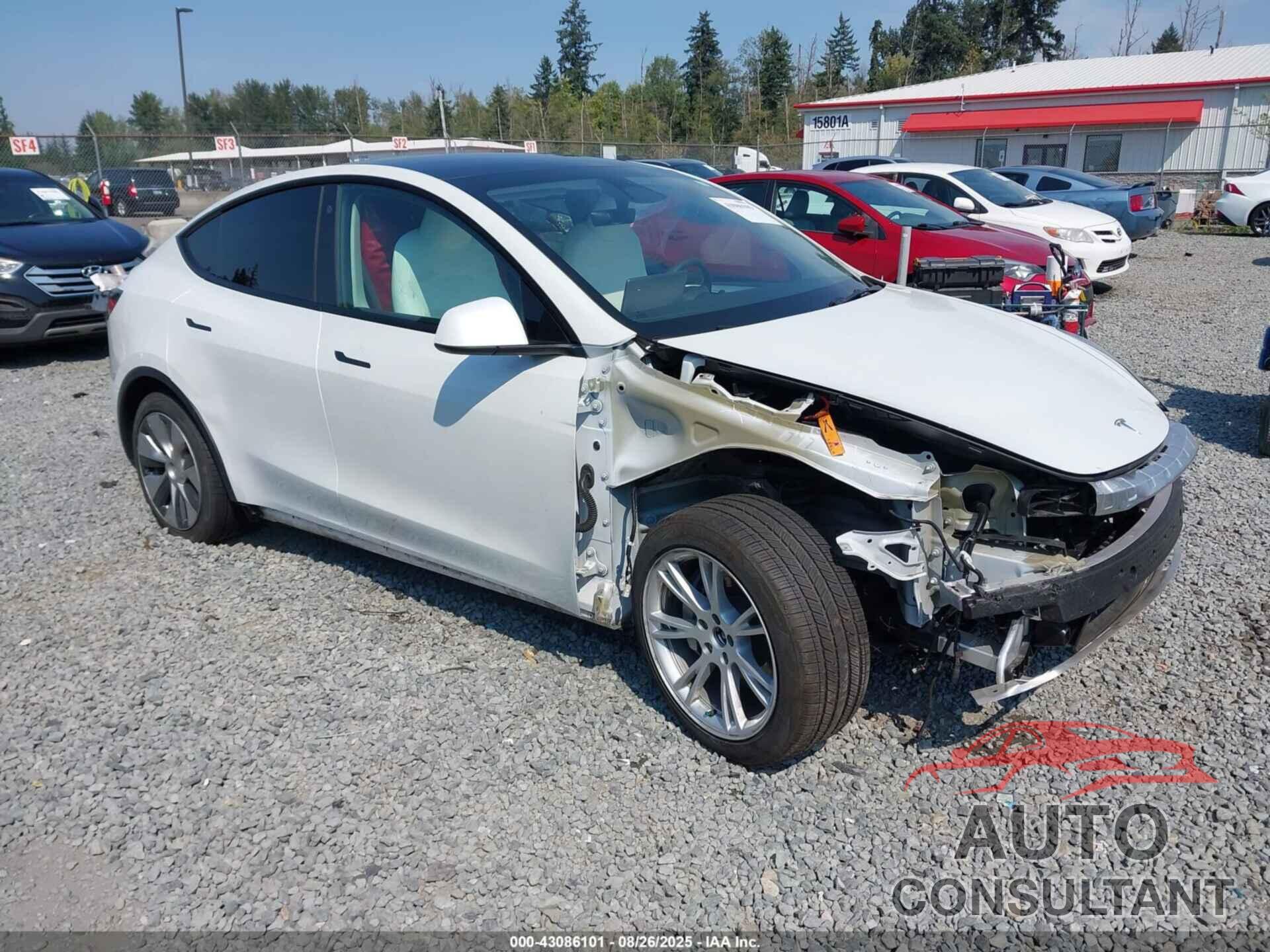 TESLA MODEL Y 2023 - 7SAYGAEE3PF788778