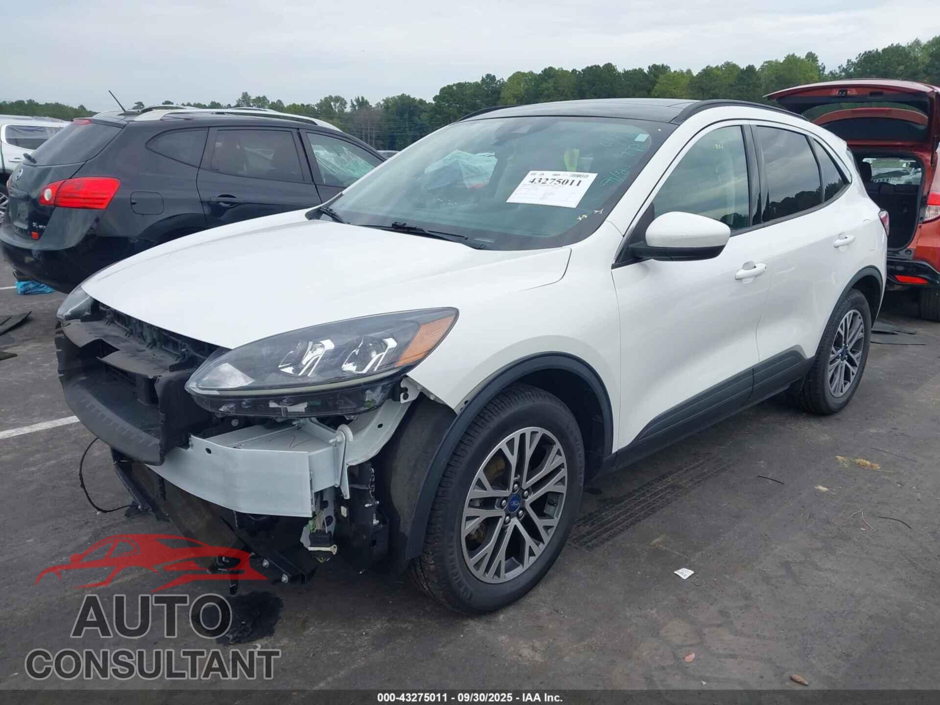 FORD ESCAPE 2020 - 1FMCU9H61LUA95062