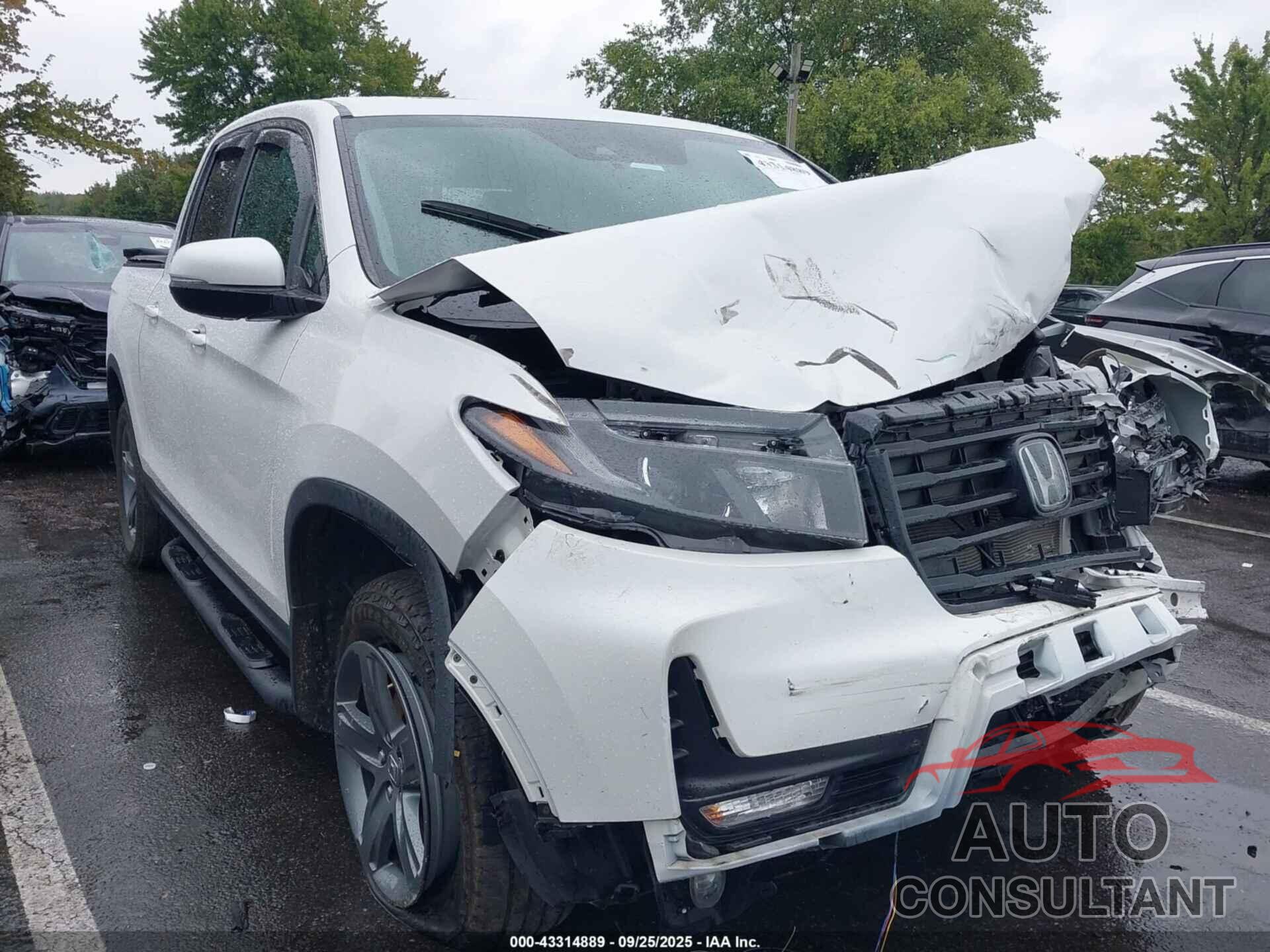 HONDA RIDGELINE 2023 - 5FPYK3F55PB031409