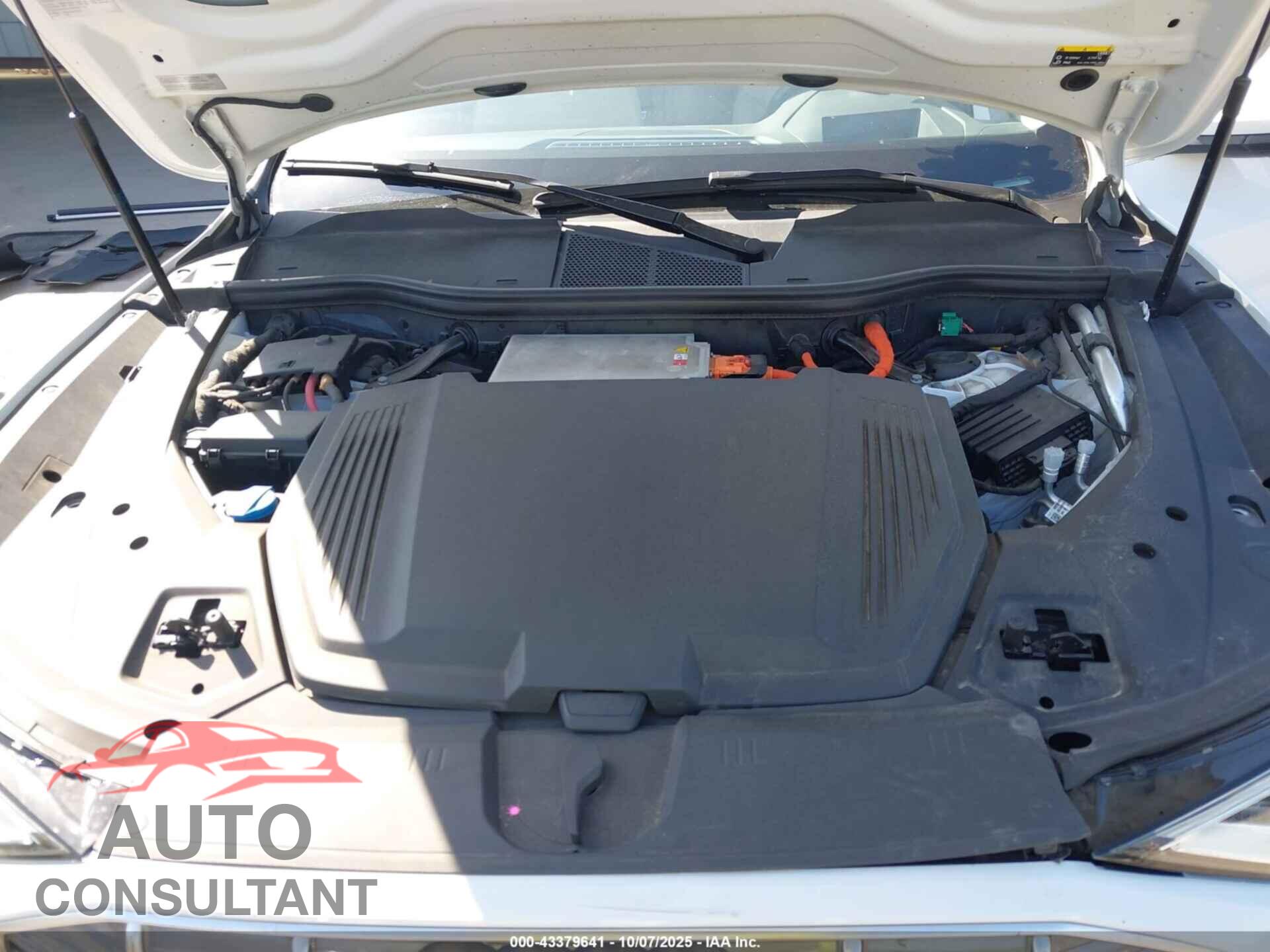 AUDI E-TRON 2019 - WA1VAAGE2KB010511
