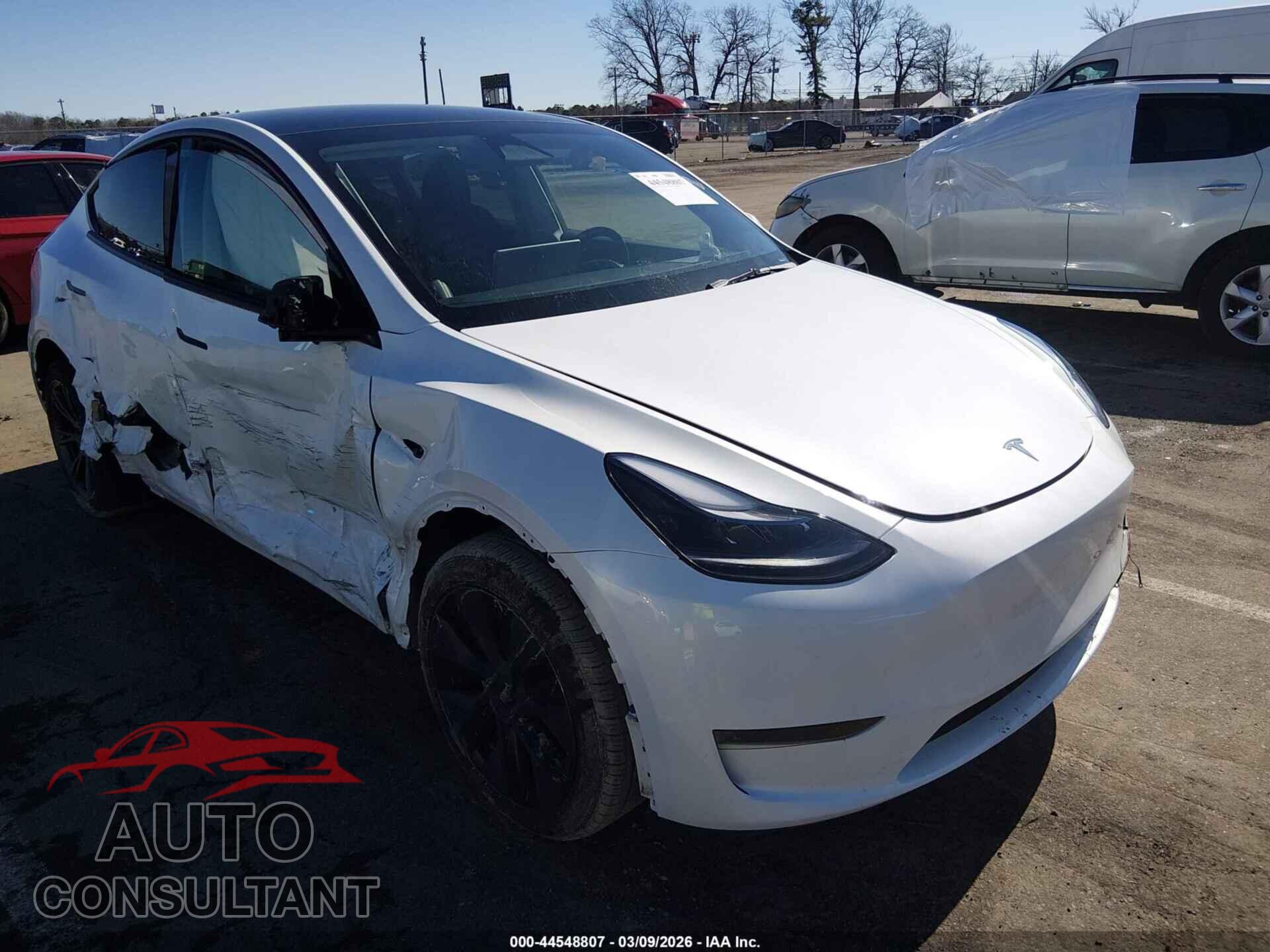TESLA MODEL Y 2024 - 7SAYGDED9RF133651