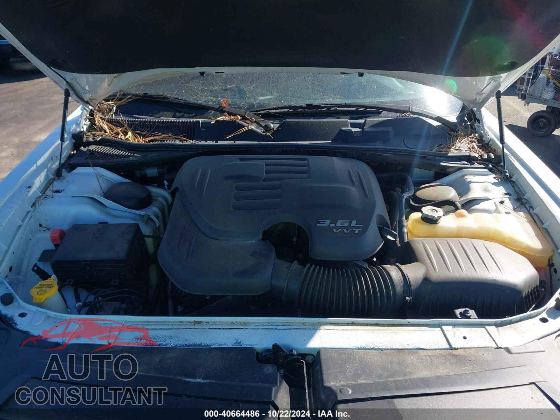 DODGE CHALLENGER 2019 - 2C3CDZAG6KH635535