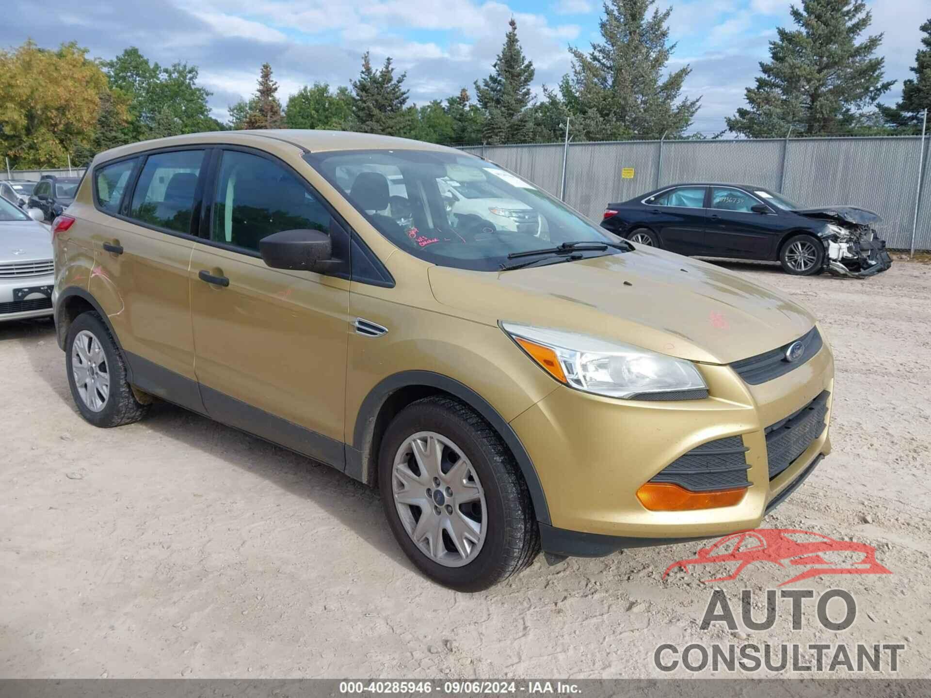 FORD ESCAPE 2014 - 1FMCU0F7XEUC11191