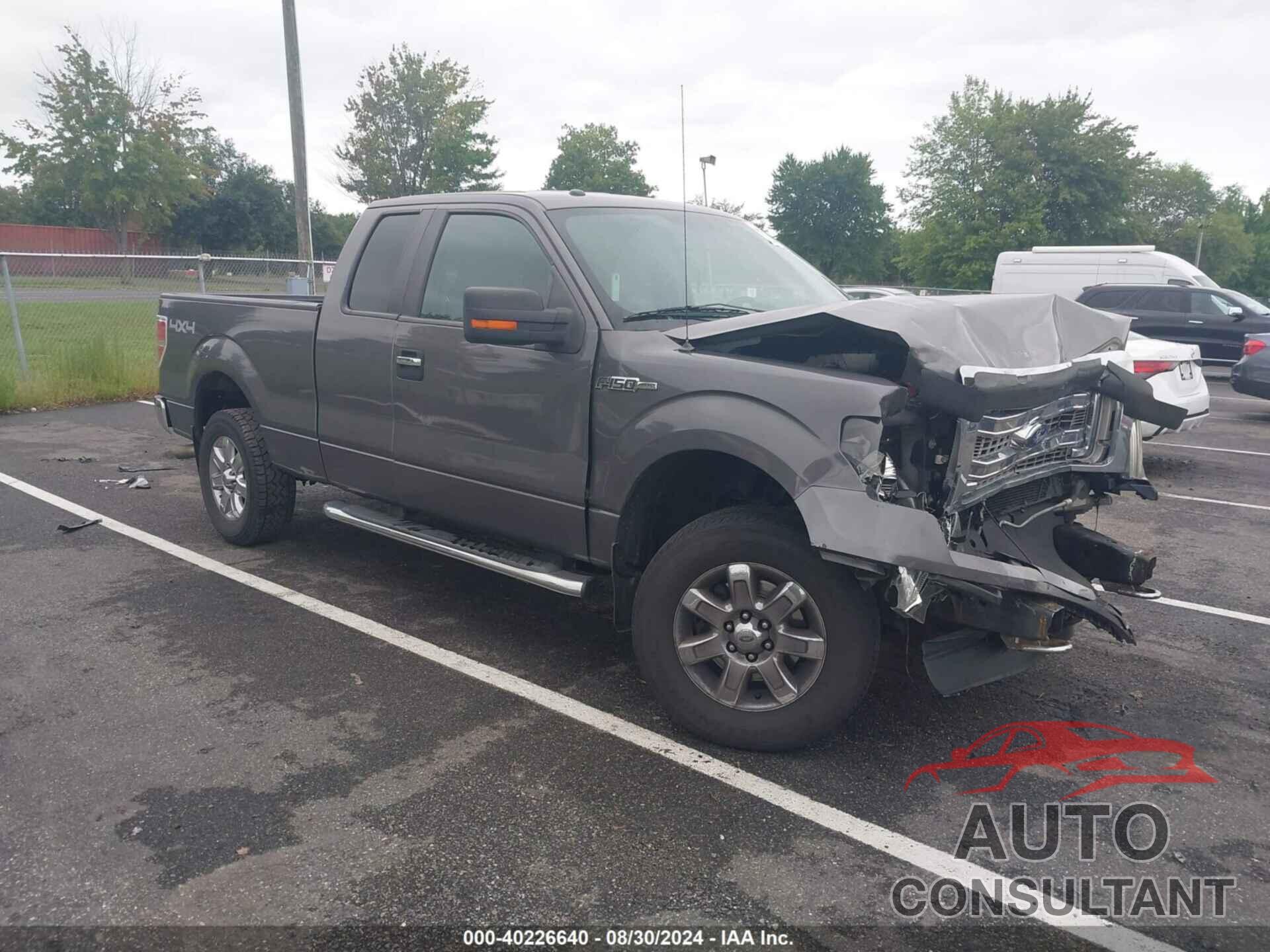 FORD F-150 2013 - 1FTFX1EF5DFB79258