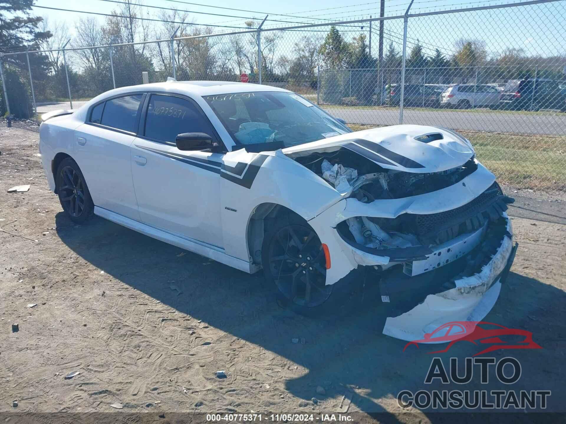DODGE CHARGER 2019 - 2C3CDXCT8KH523396