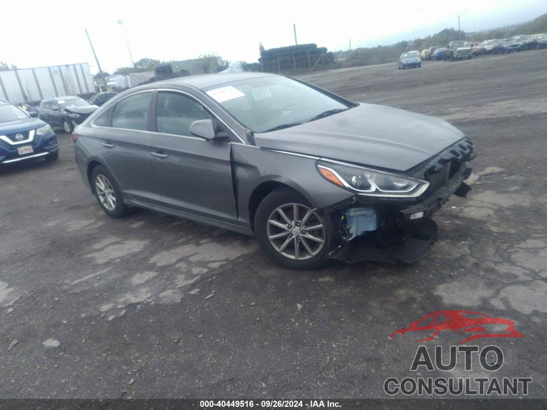 HYUNDAI SONATA 2019 - 5NPE24AF7KH154982