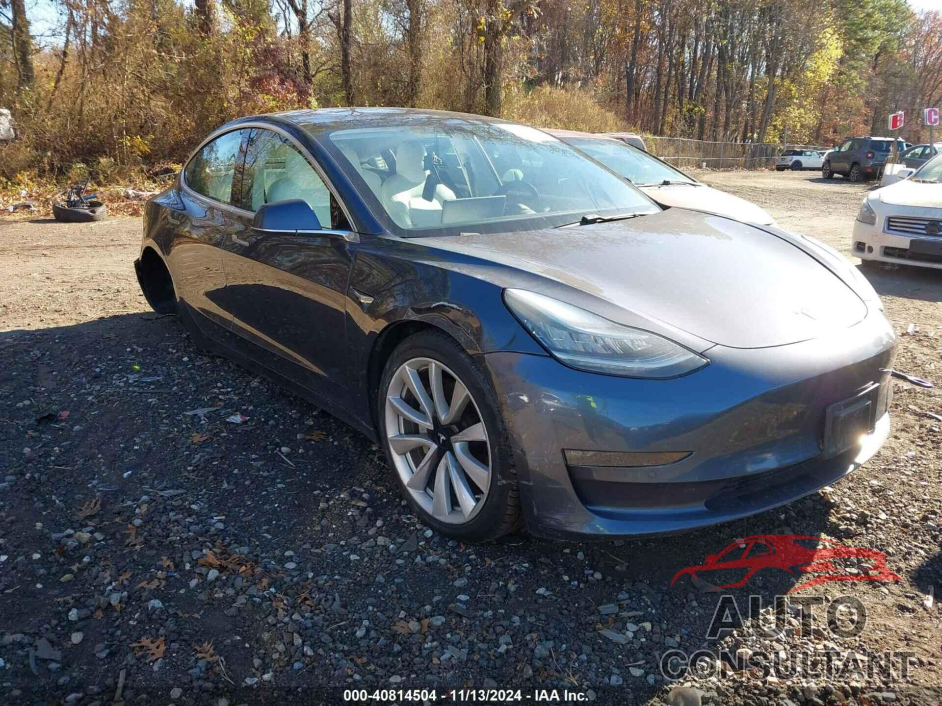 TESLA MODEL 3 2019 - 5YJ3E1EB3KF195725