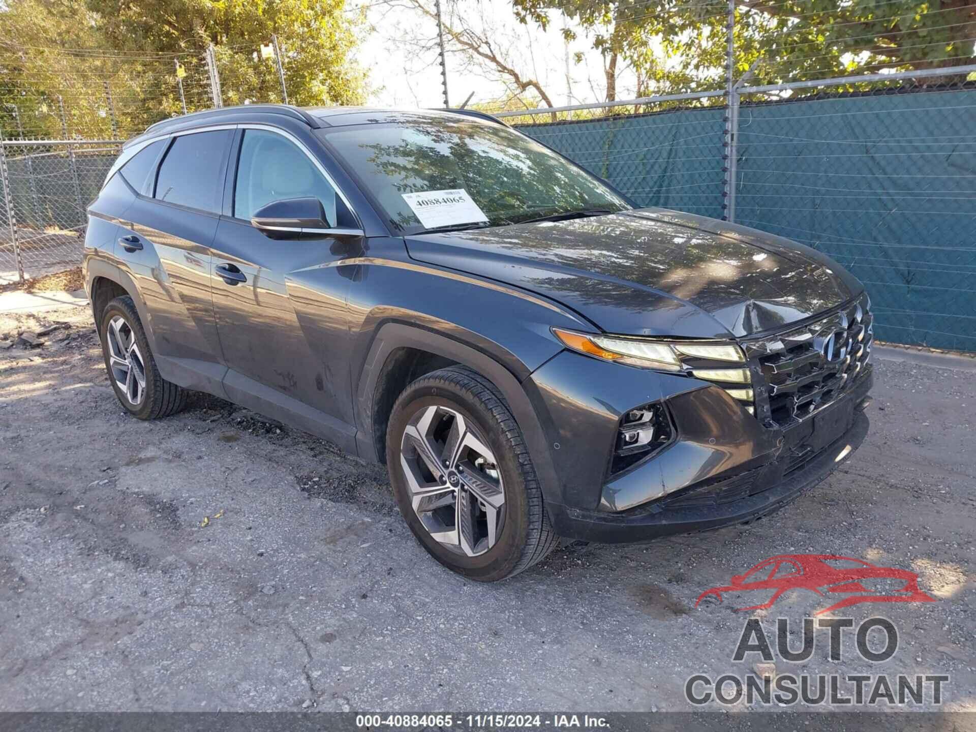HYUNDAI TUCSON 2024 - 5NMJECDEXRH353713
