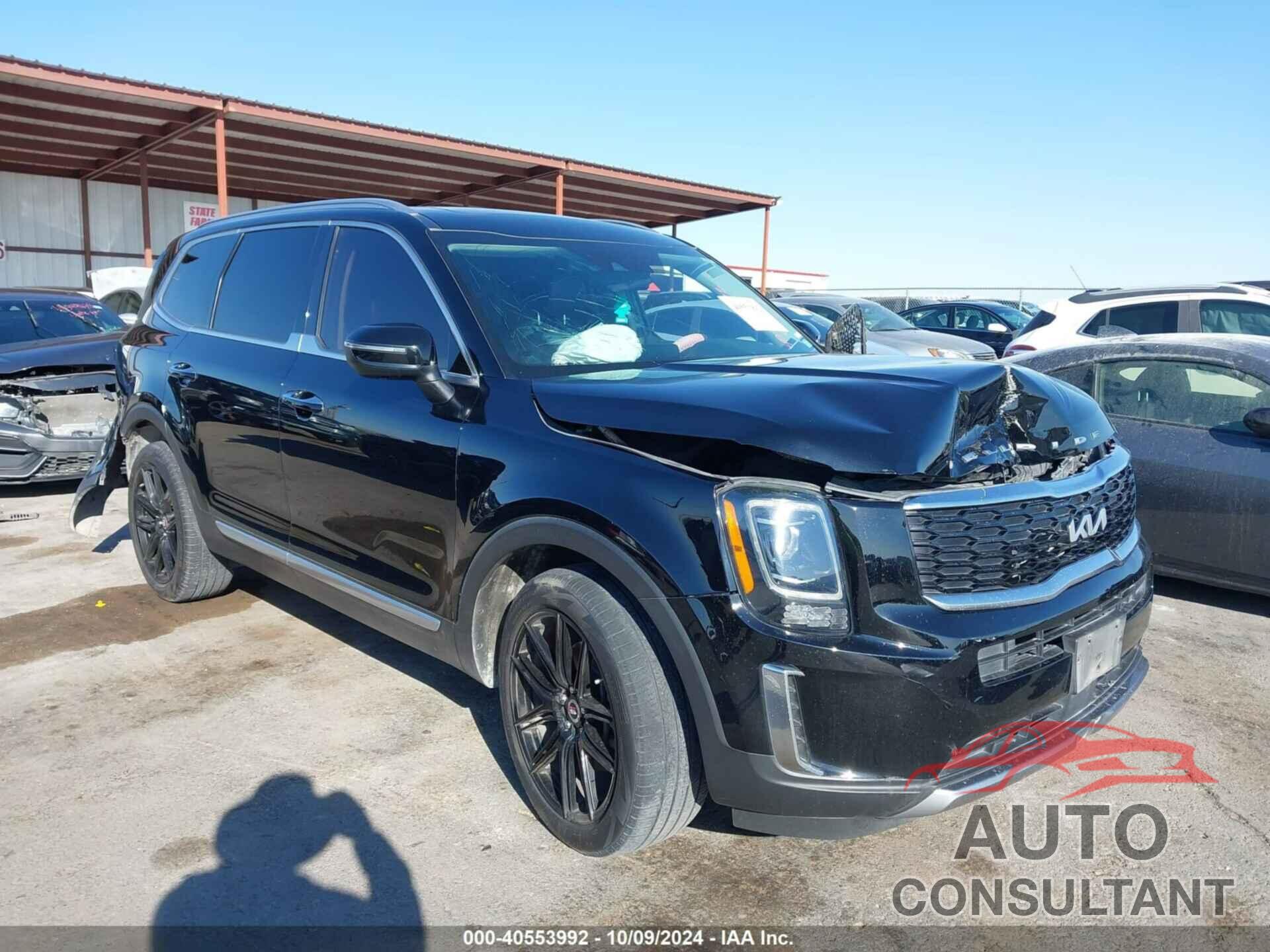 KIA TELLURIDE 2022 - 5XYP6DHC2NG245631