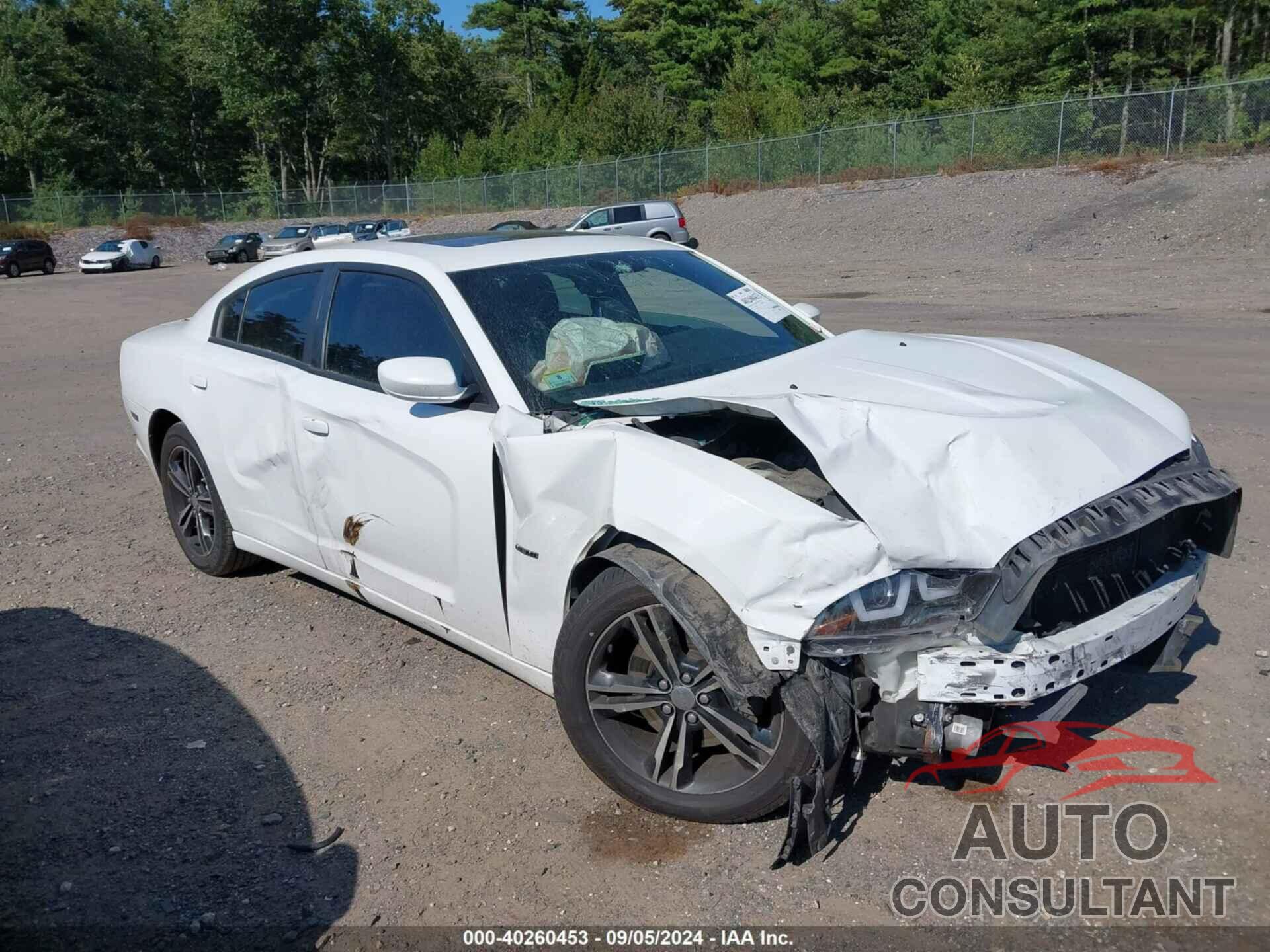 DODGE CHARGER 2014 - 2C3CDXDT6EH272266