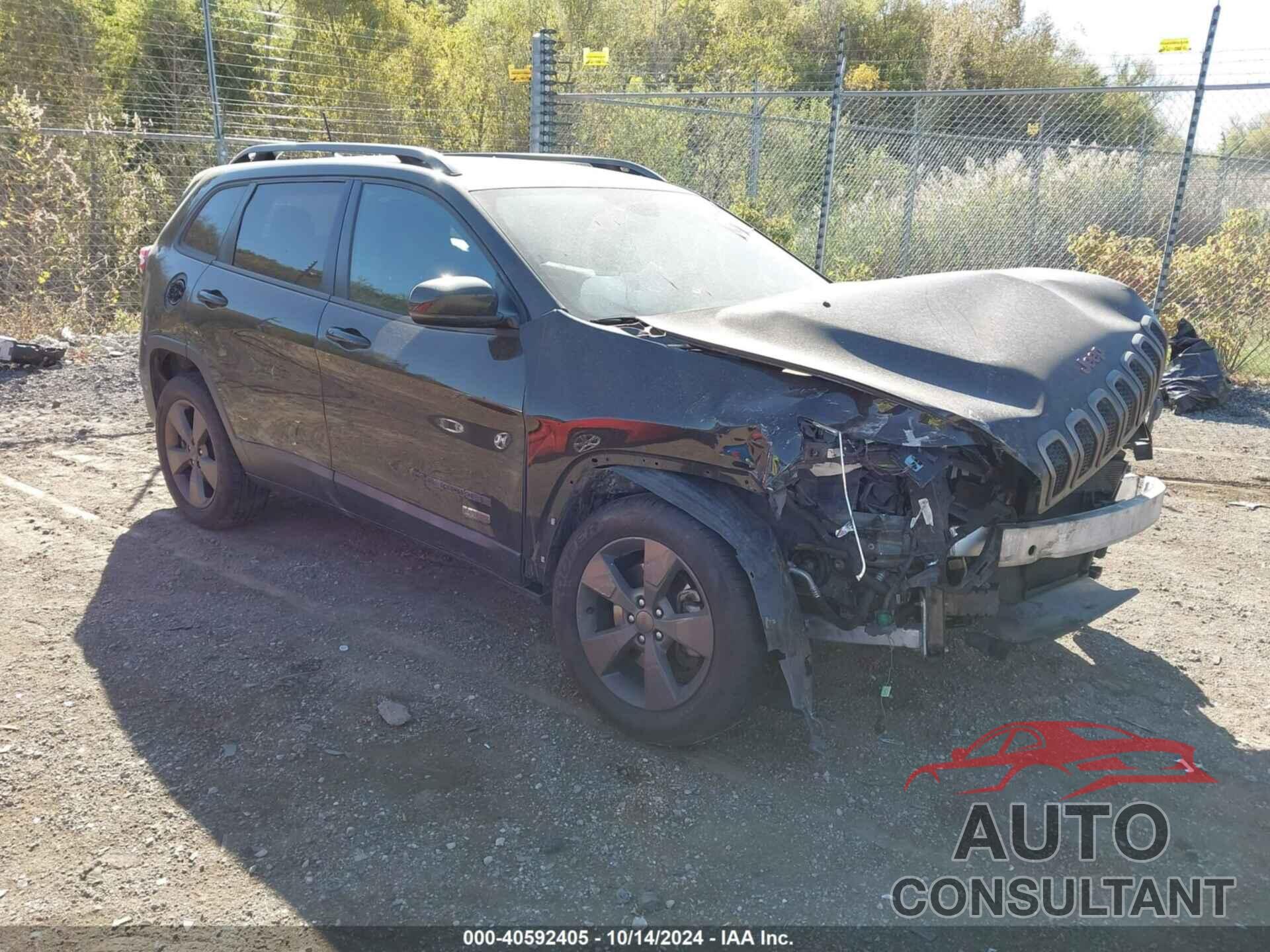 JEEP CHEROKEE 2016 - 1C4PJMCB4GW289388