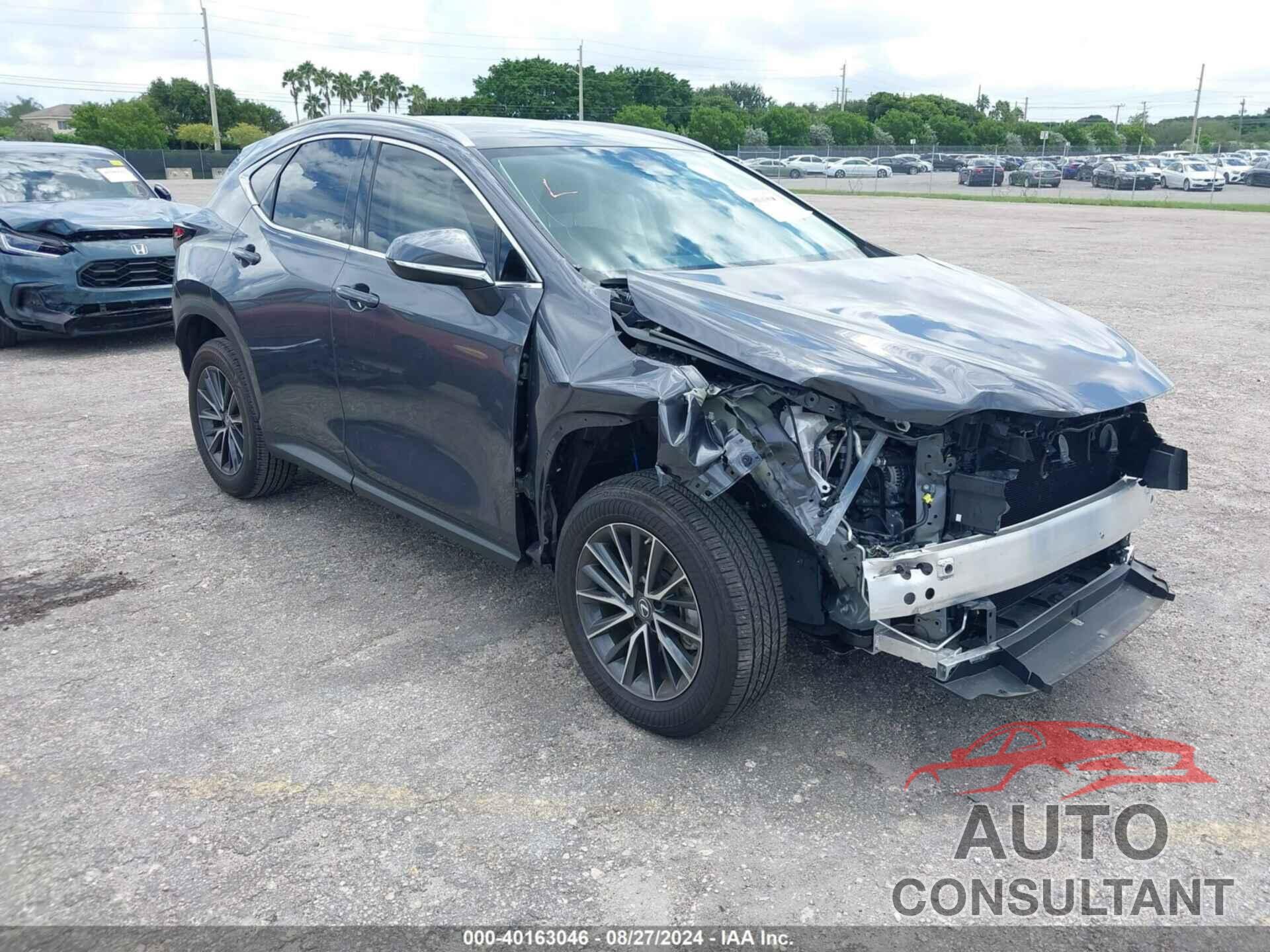 LEXUS NX 250 2023 - 2T2ADCAZ6PC005643