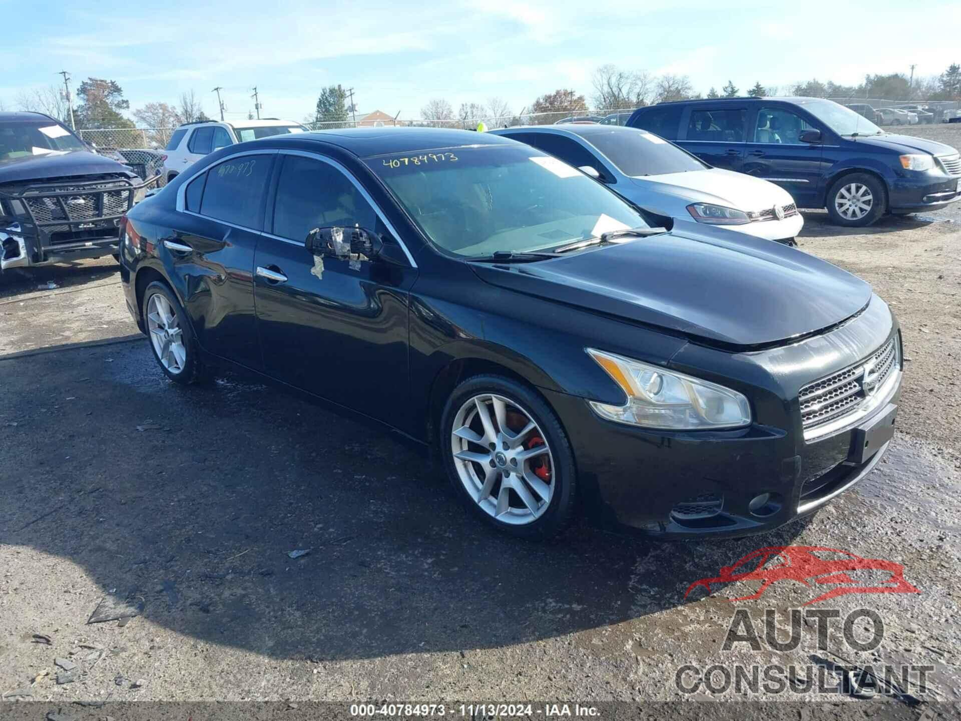 NISSAN MAXIMA 2011 - 1N4AA5AP1BC832805