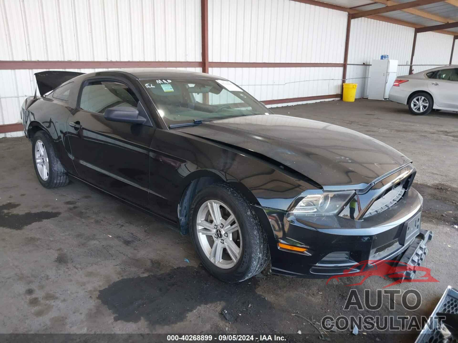 FORD MUSTANG 2014 - 1ZVBP8AM6E5266294