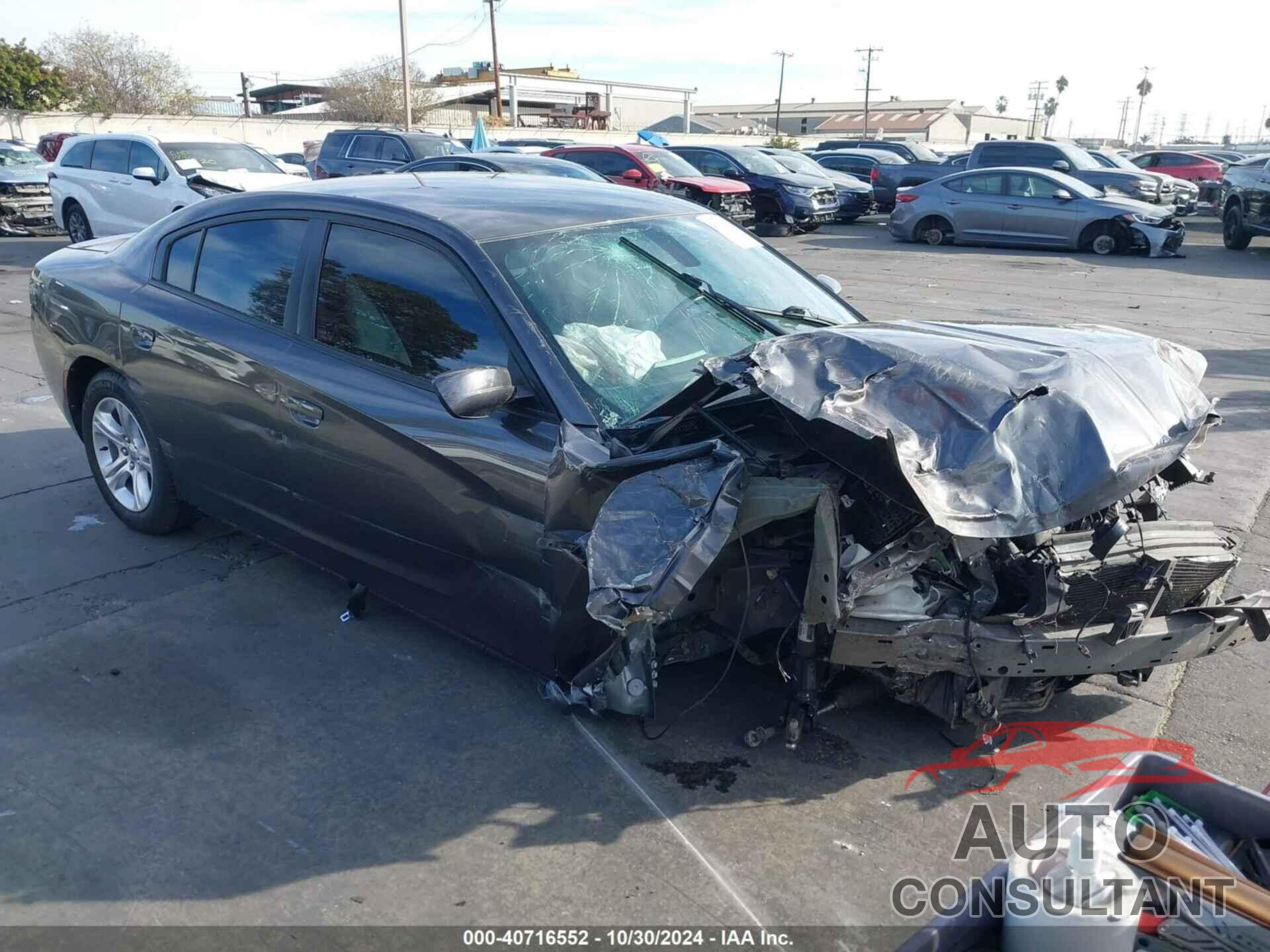 DODGE CHARGER 2020 - 2C3CDXBGXLH151596