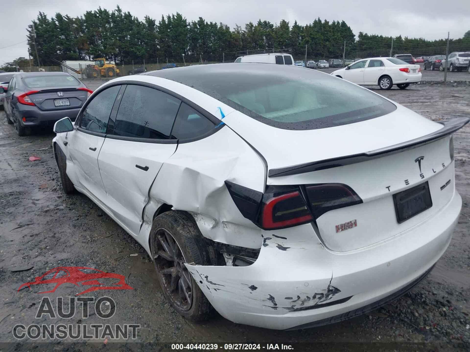 TESLA MODEL 3 2020 - 5YJ3E1EB1LF639721